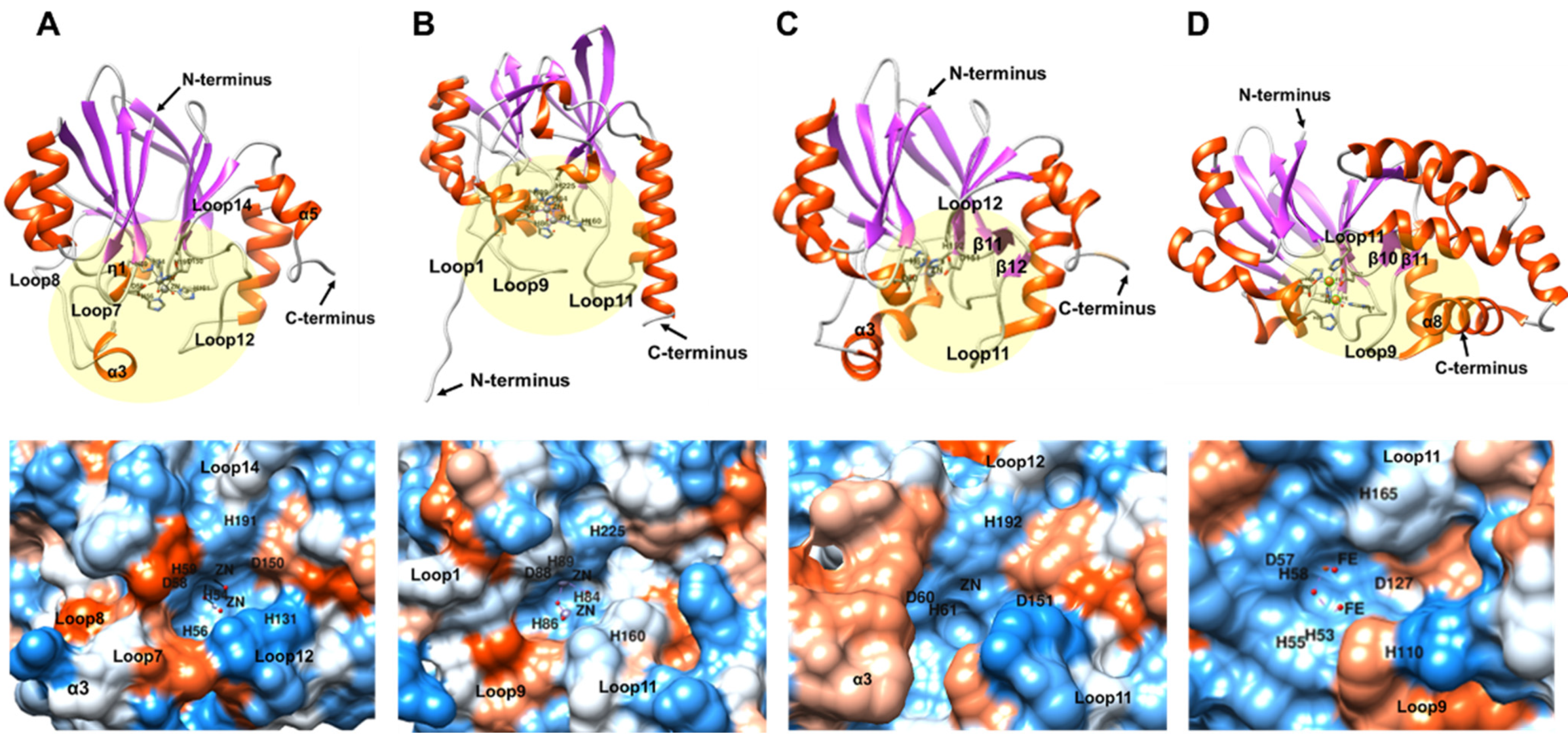 Ijms 22 09377 g009 Ijms 22 09377 g009