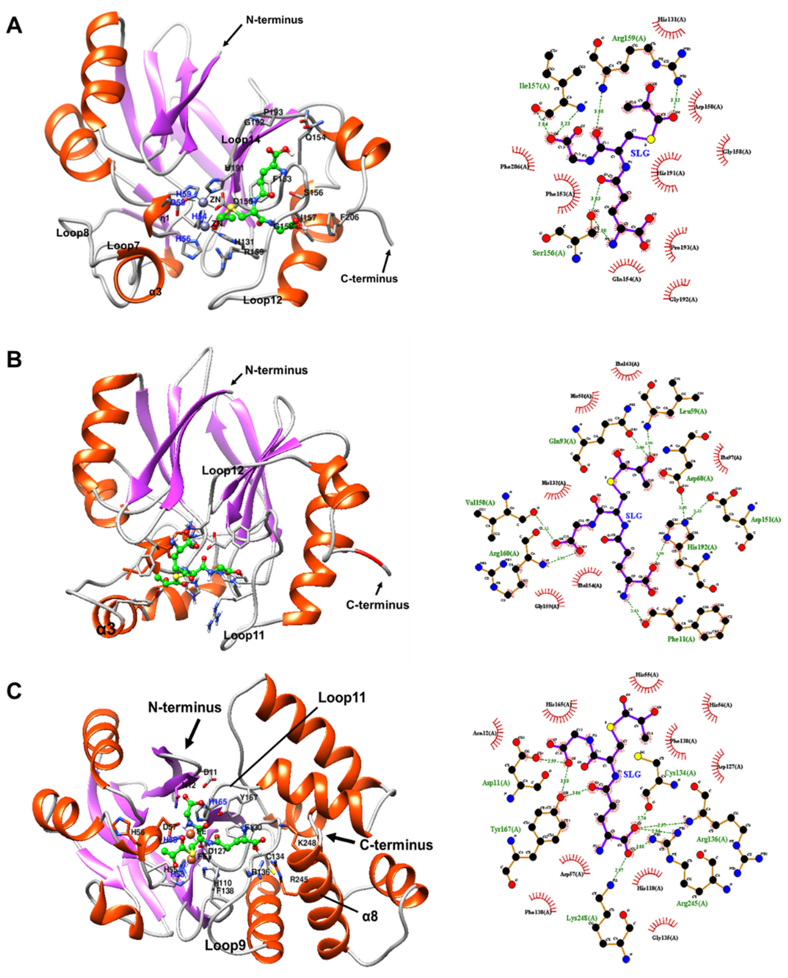 Ijms 22 09377 g011 Ijms 22 09377 g011