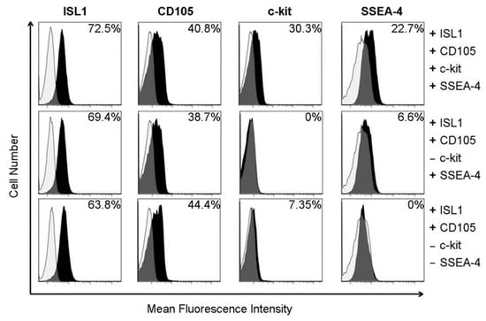 Ijms Free Full Text Long Term Hypoxia Maintains A State Of Dedifferentiation And Enhanced Stemness In Fetal Cardiovascular Progenitor Cells Html