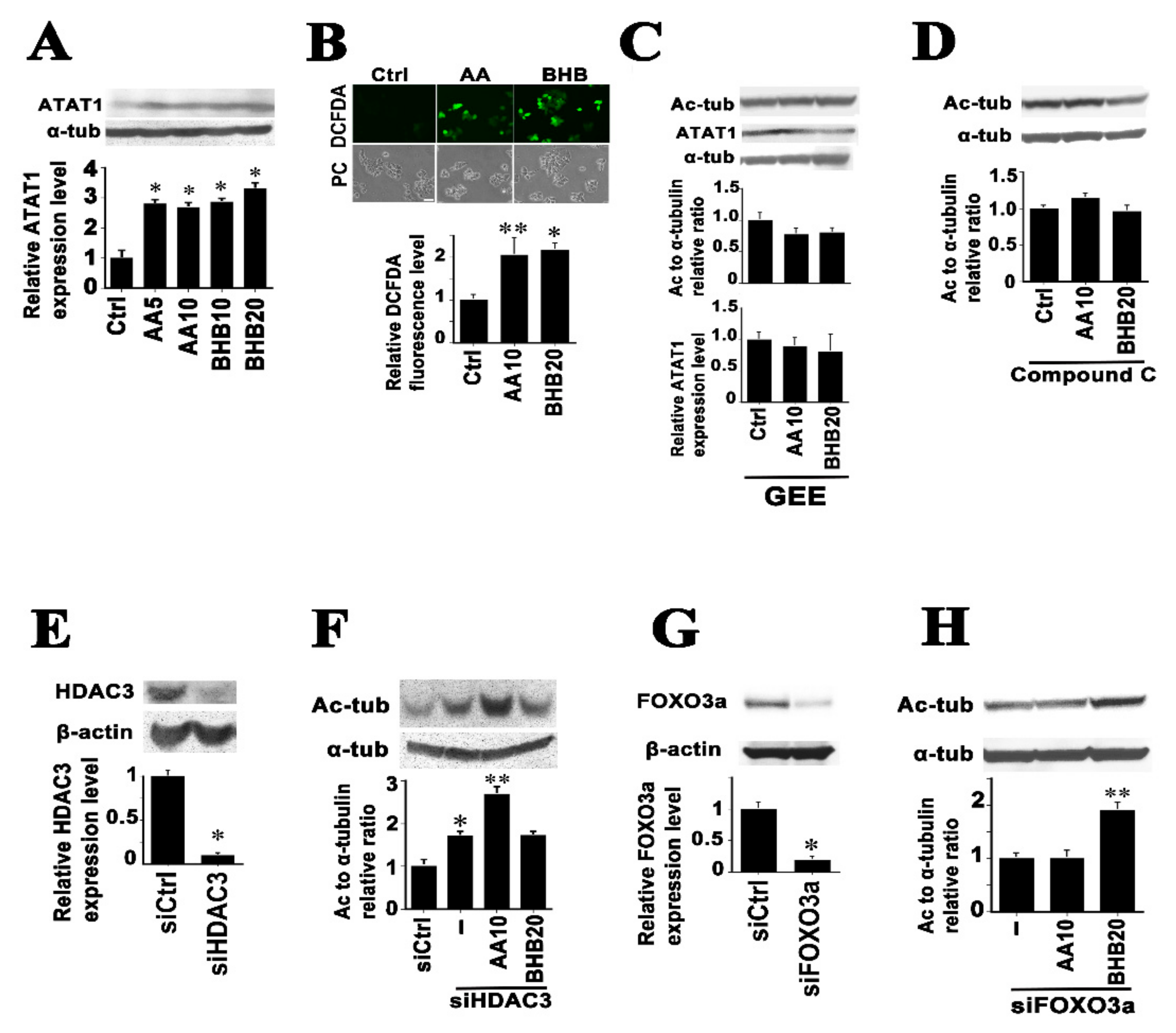 Ijms 22 09397 g002 Ijms 22 09397 g002
