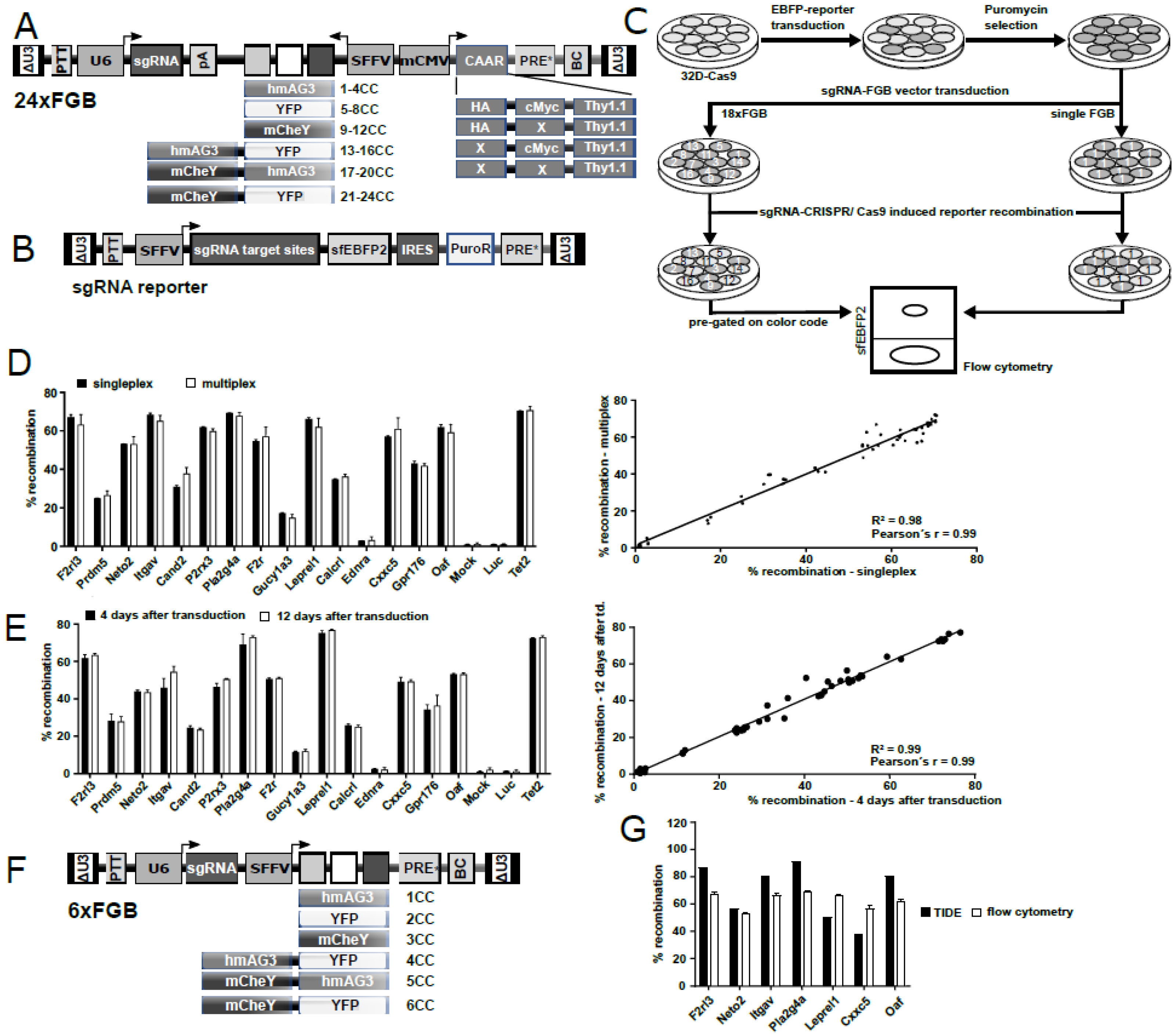 Ijms 22 09411 g002 Ijms 22 09411 g002
