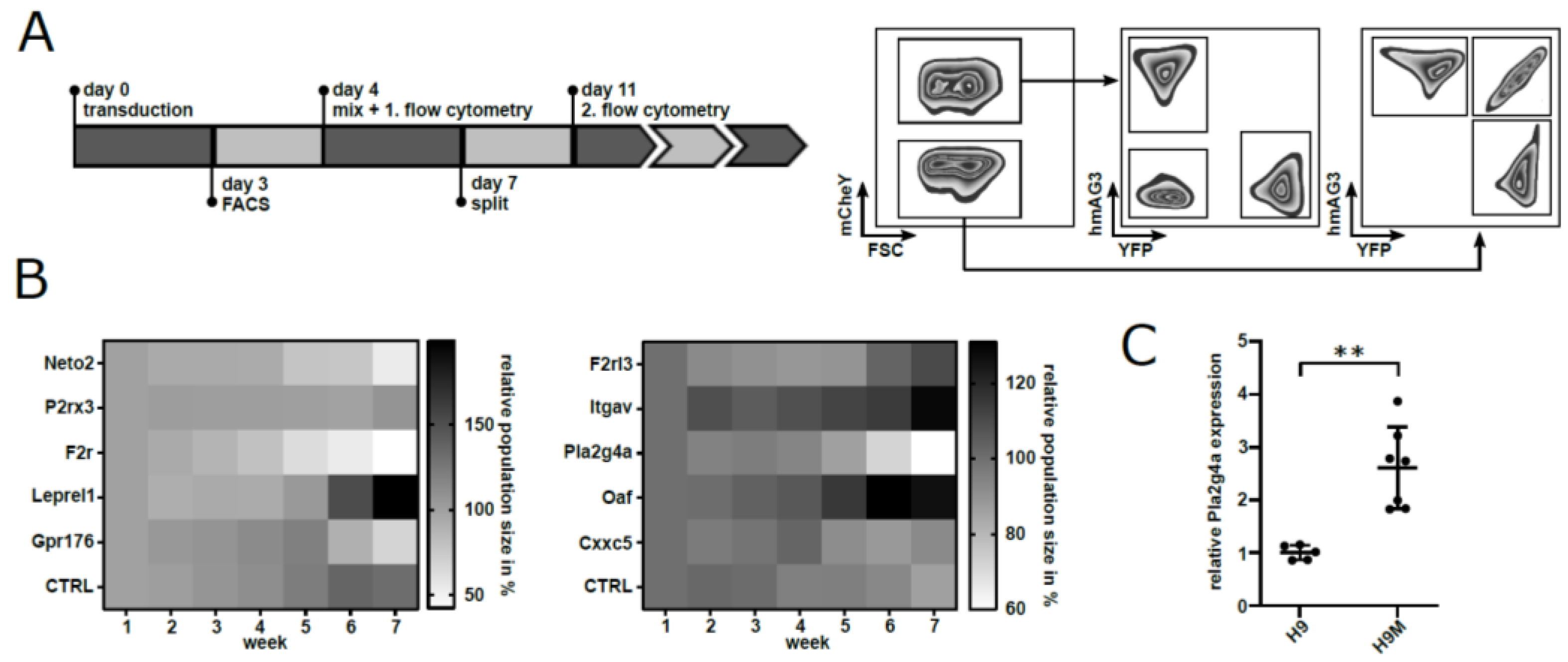 Ijms 22 09411 g003 Ijms 22 09411 g003