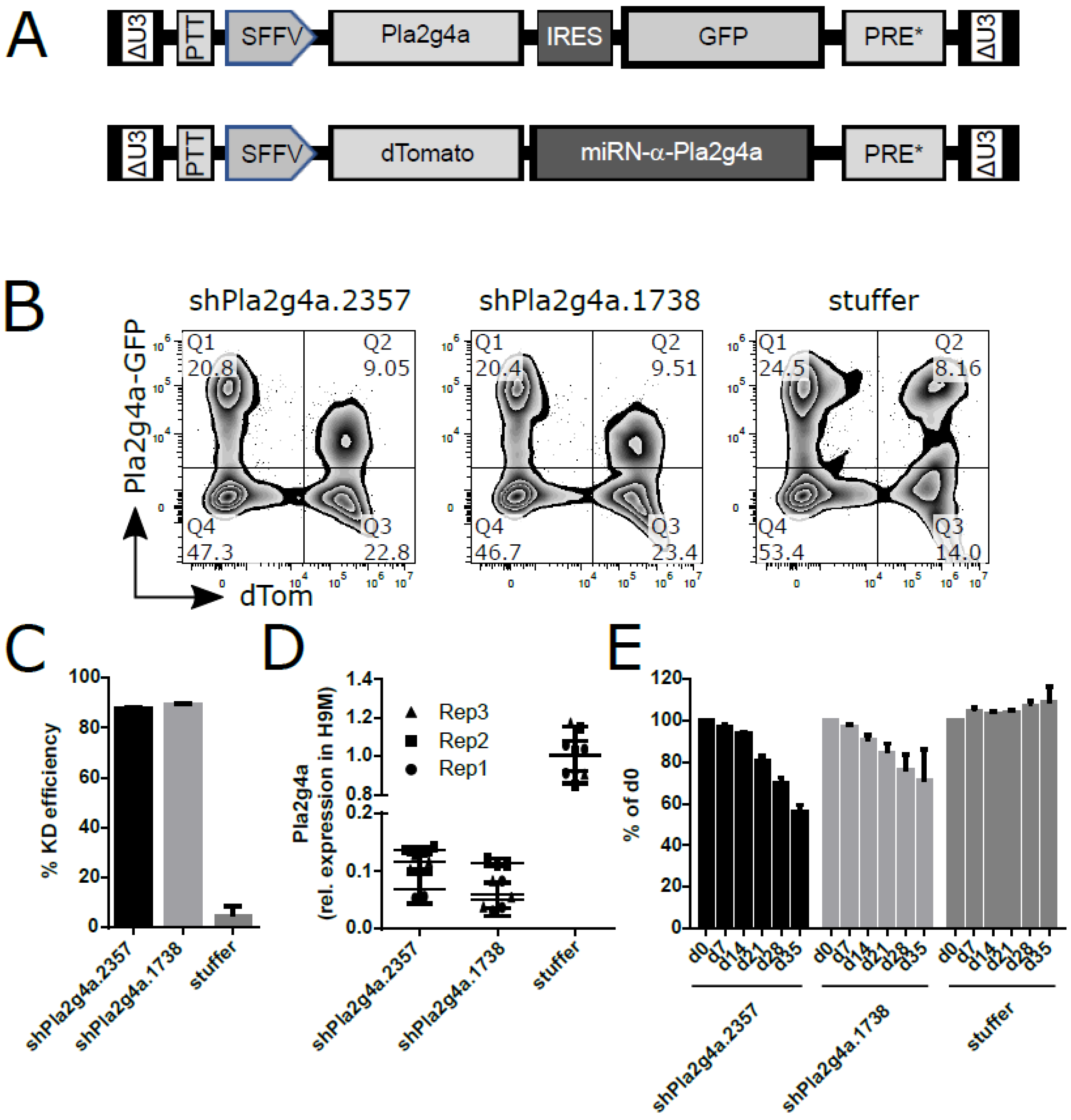Ijms 22 09411 g004 Ijms 22 09411 g004