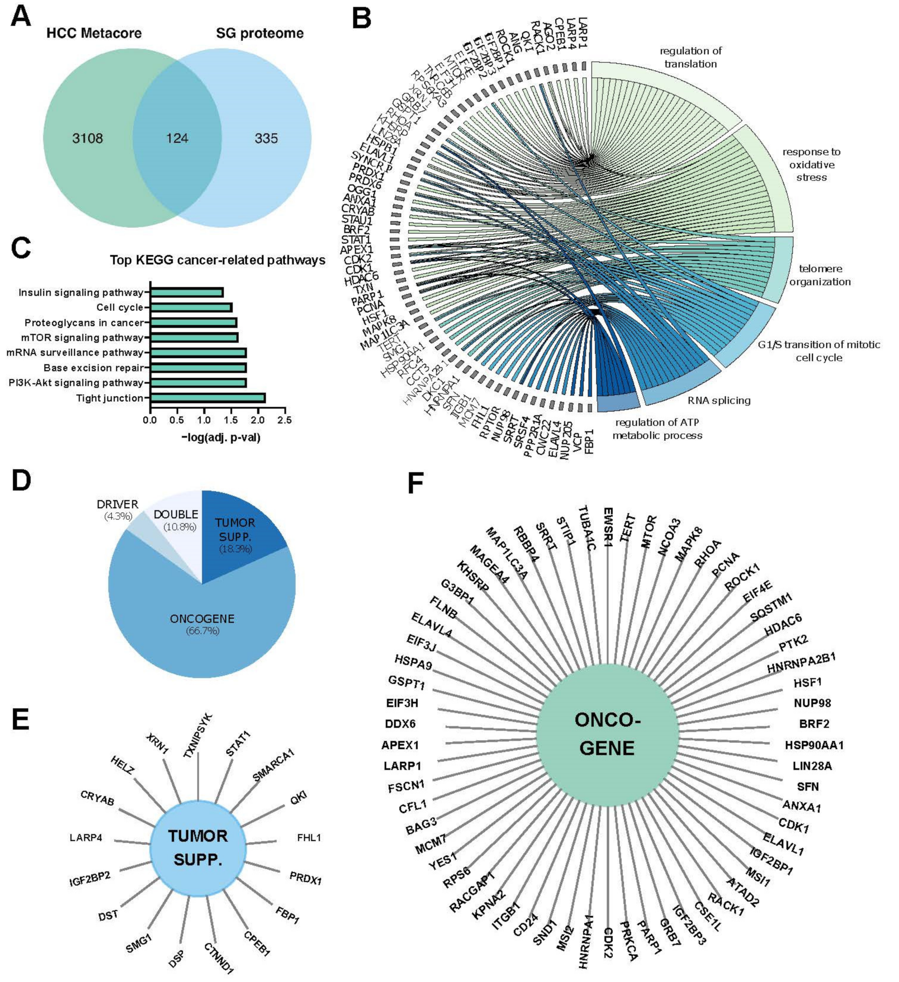 IJMS | Free Full-Text | The Emerging Role of Stress Granules in