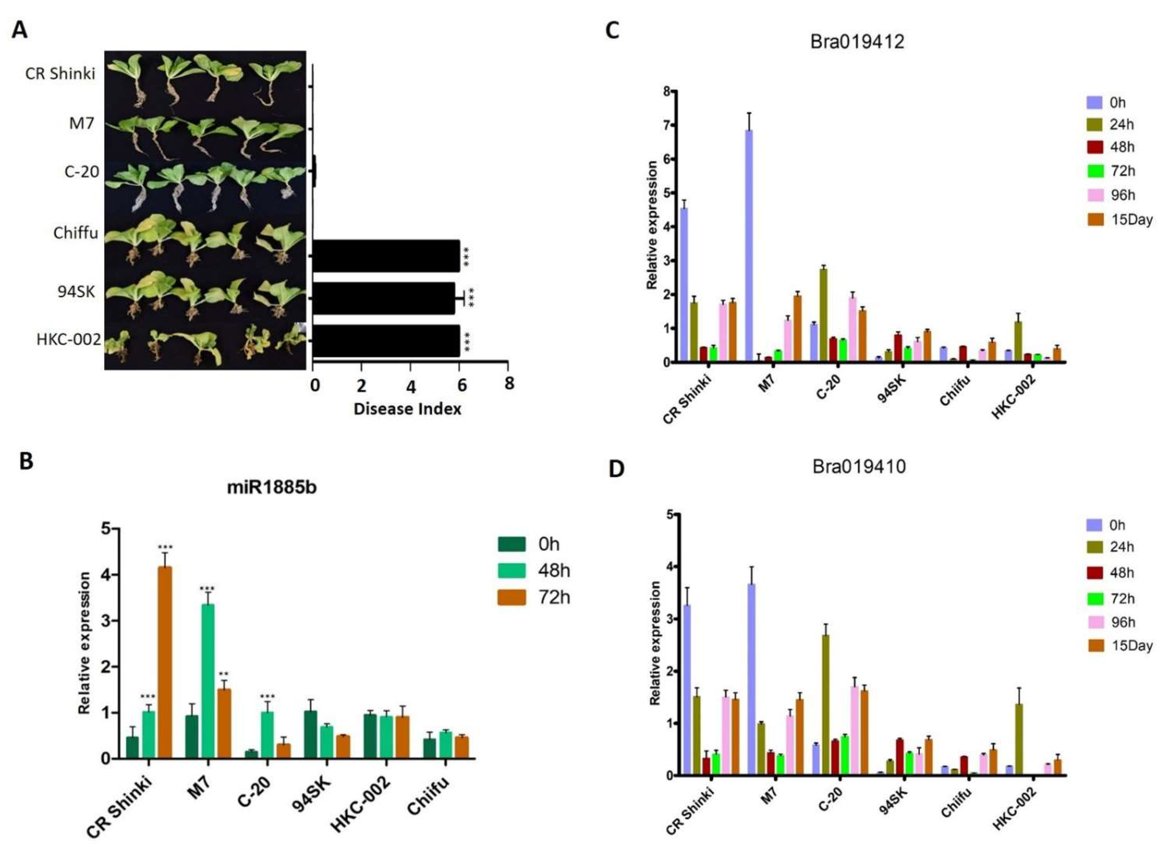 Ijms 22 09433 g006 Ijms 22 09433 g006
