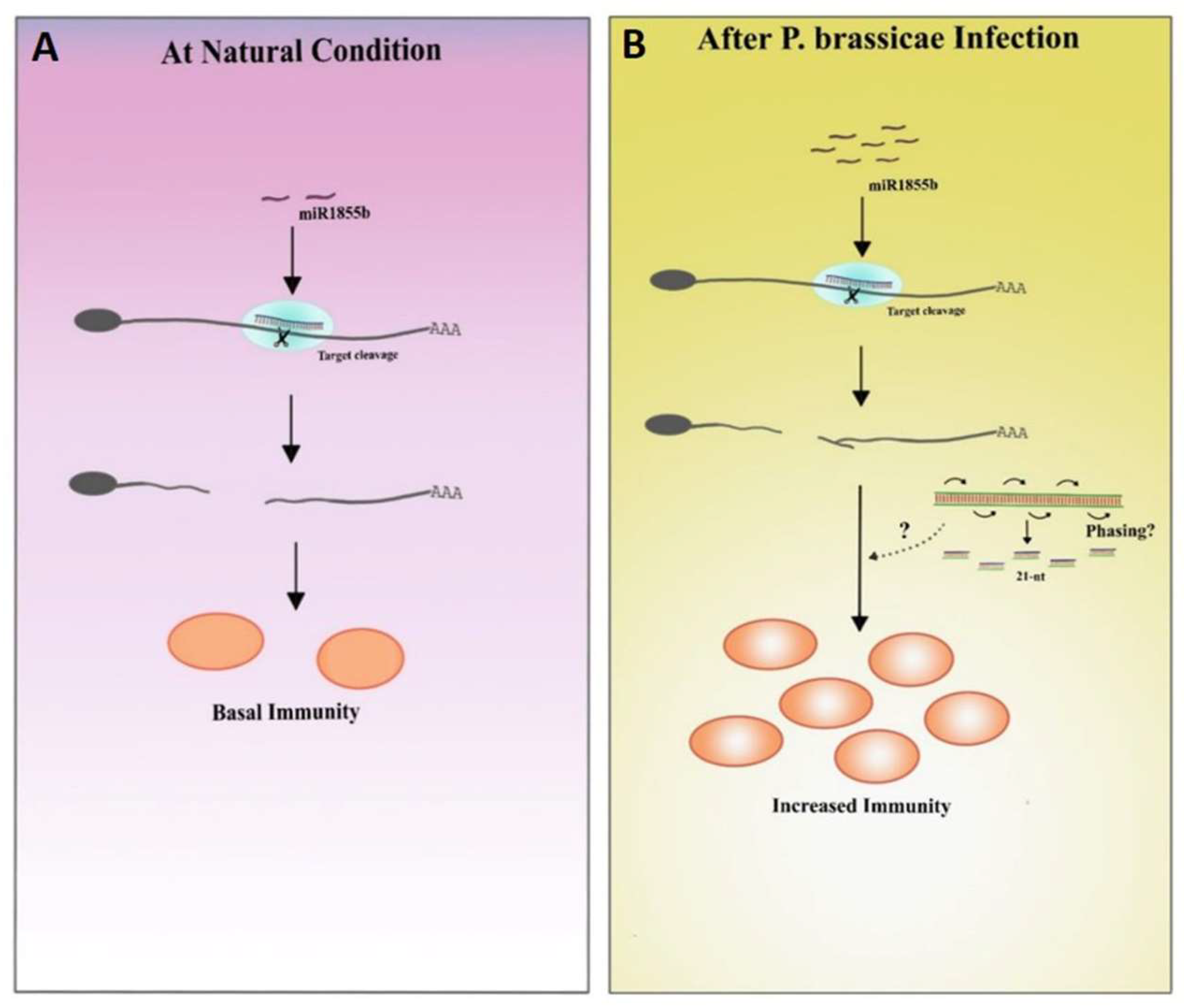Ijms 22 09433 g008 Ijms 22 09433 g008