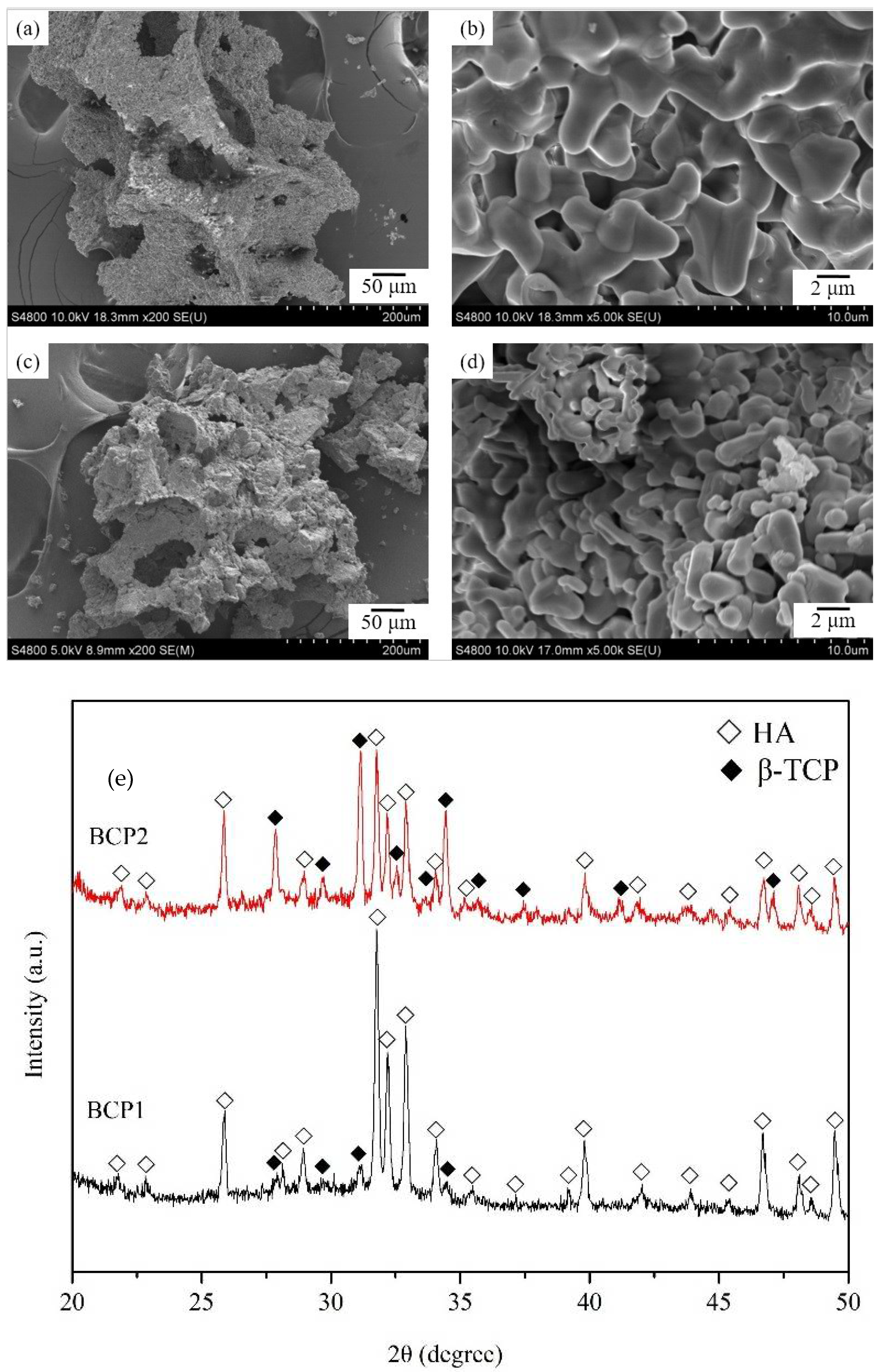 Ijms Free Full Text Porous Biphasic Calcium Phosphate Granules From Oyster Shell Promote The Differentiation Of Induced Pluripotent Stem Cells