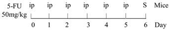 Ijms 22 09474 i005