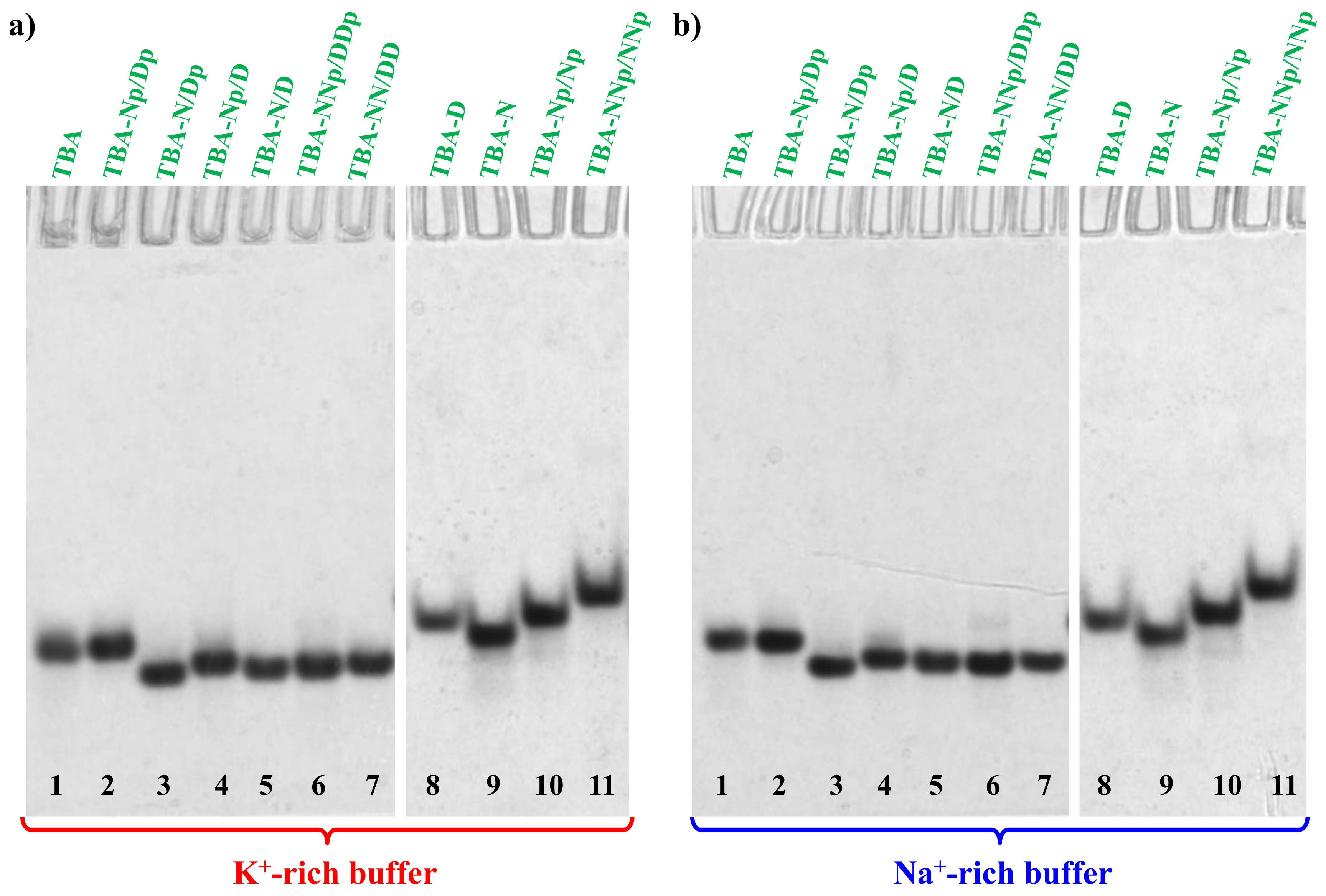 Ijms 22 09510 g005 Ijms 22 09510 g005