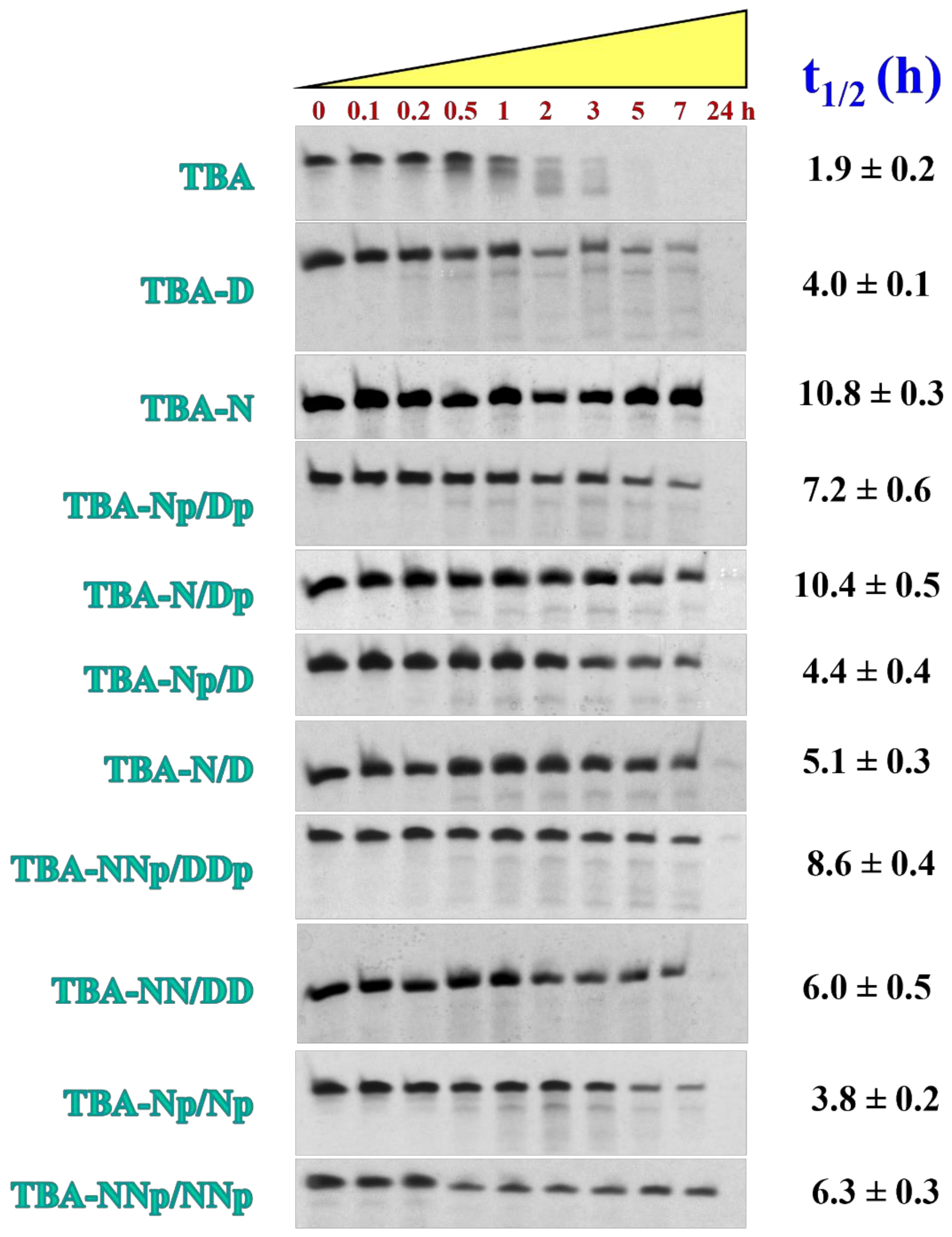 Ijms 22 09510 g006 Ijms 22 09510 g006