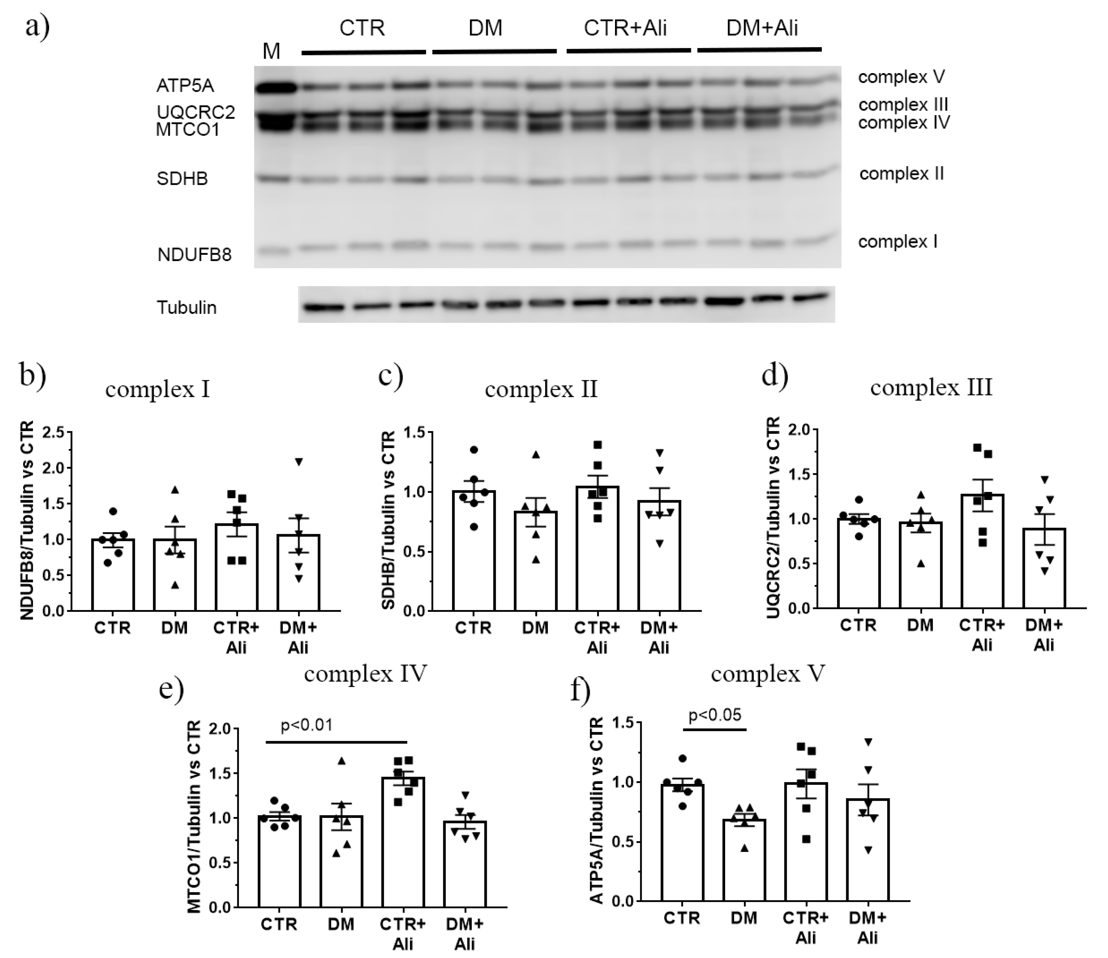Ijms 22 09524 g004