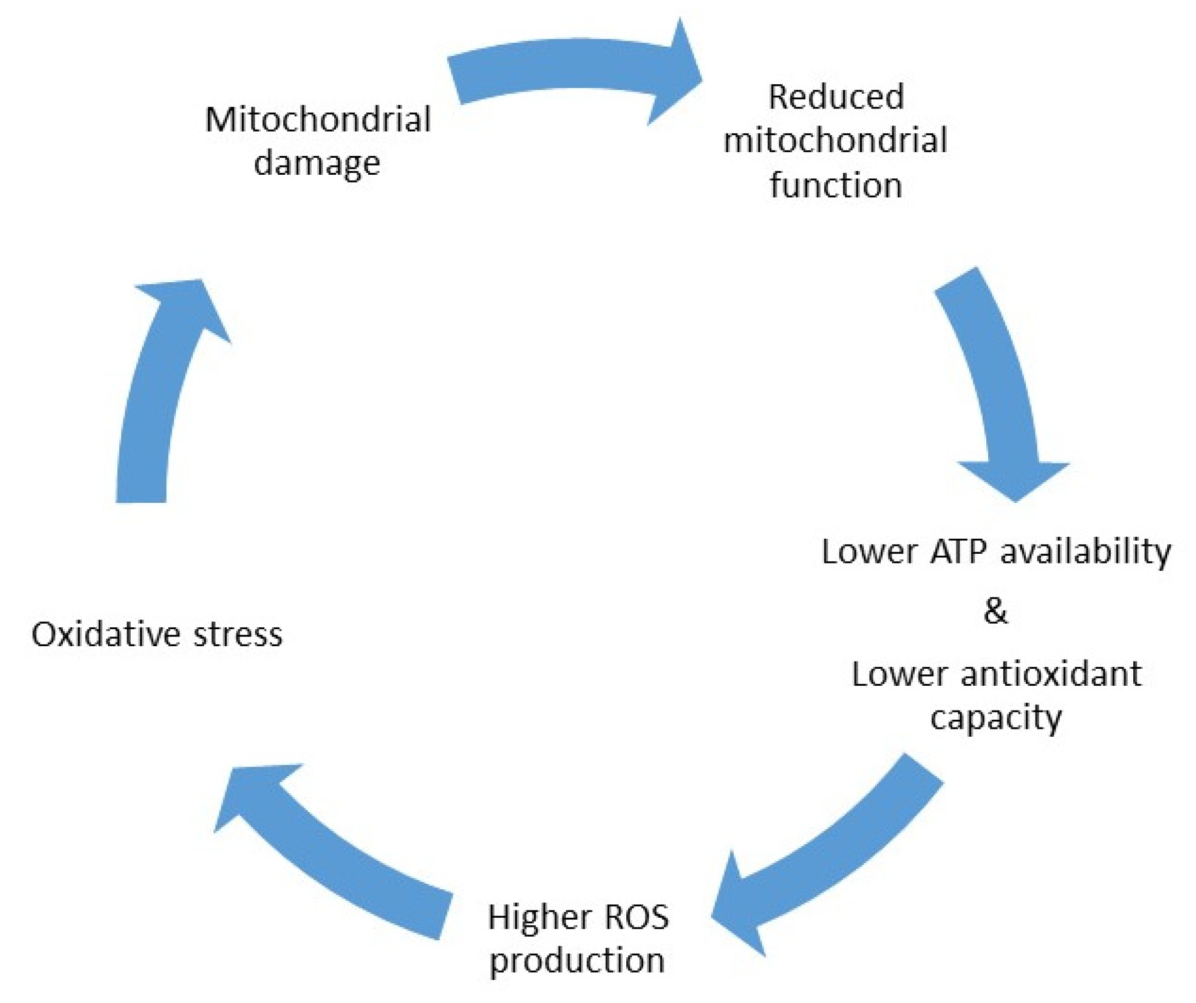 IJMS Free Full Text Does Coenzyme Q10 Supplementation Improve