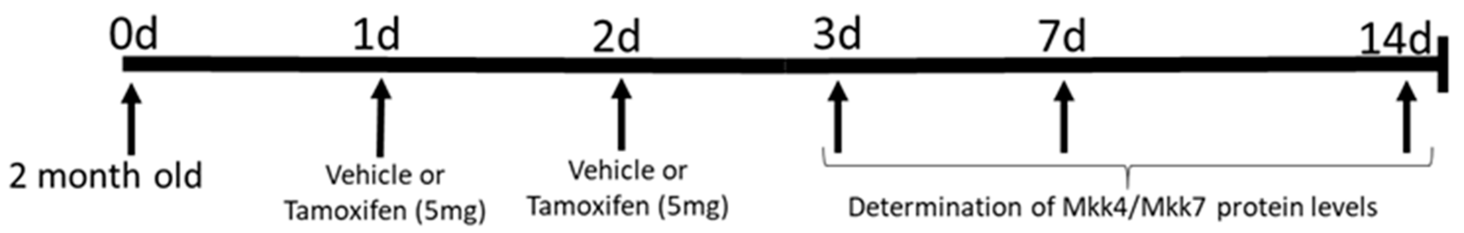 Ijms 22 09545 sch001