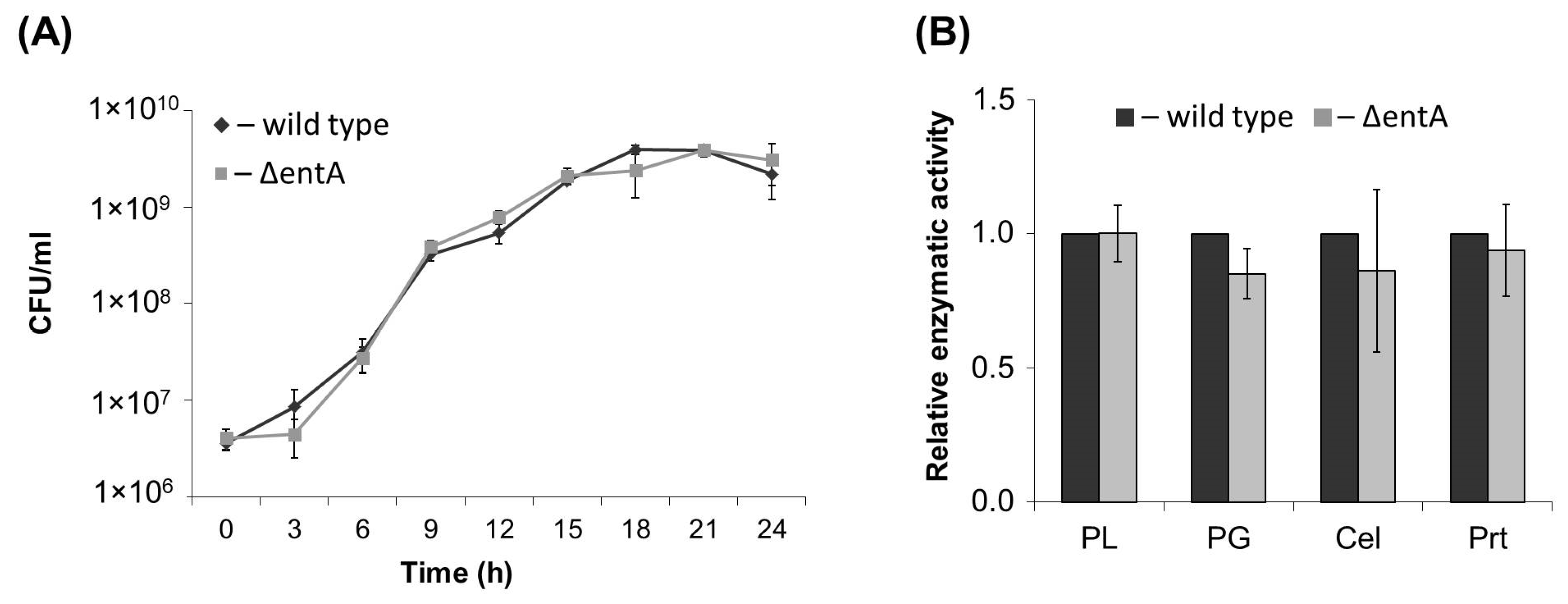 Ijms 22 09594 g001 Ijms 22 09594 g001