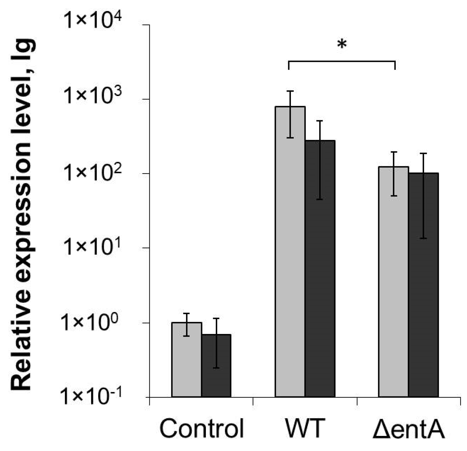 Ijms 22 09594 g005 Ijms 22 09594 g005