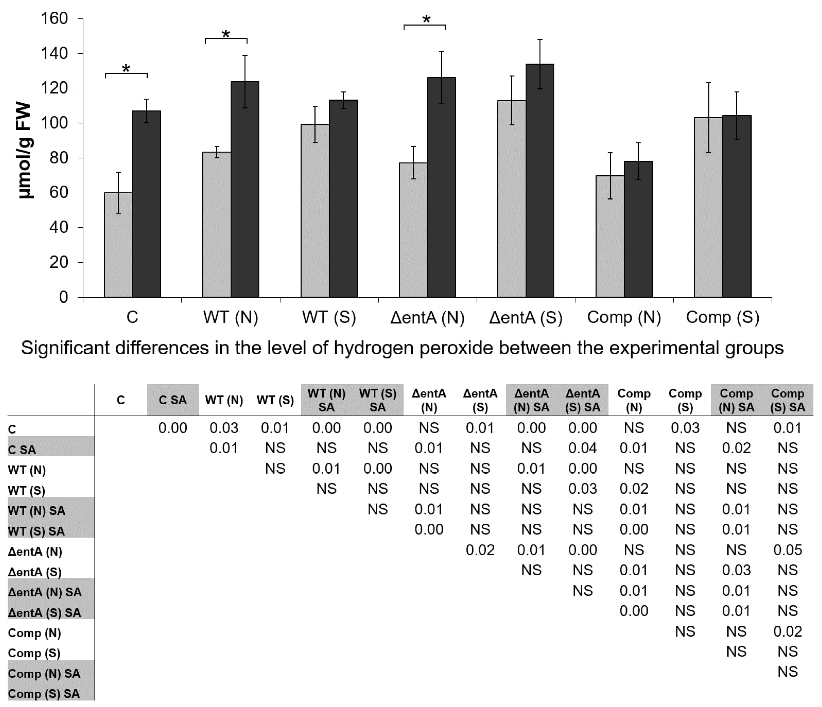 Ijms 22 09594 g007 Ijms 22 09594 g007
