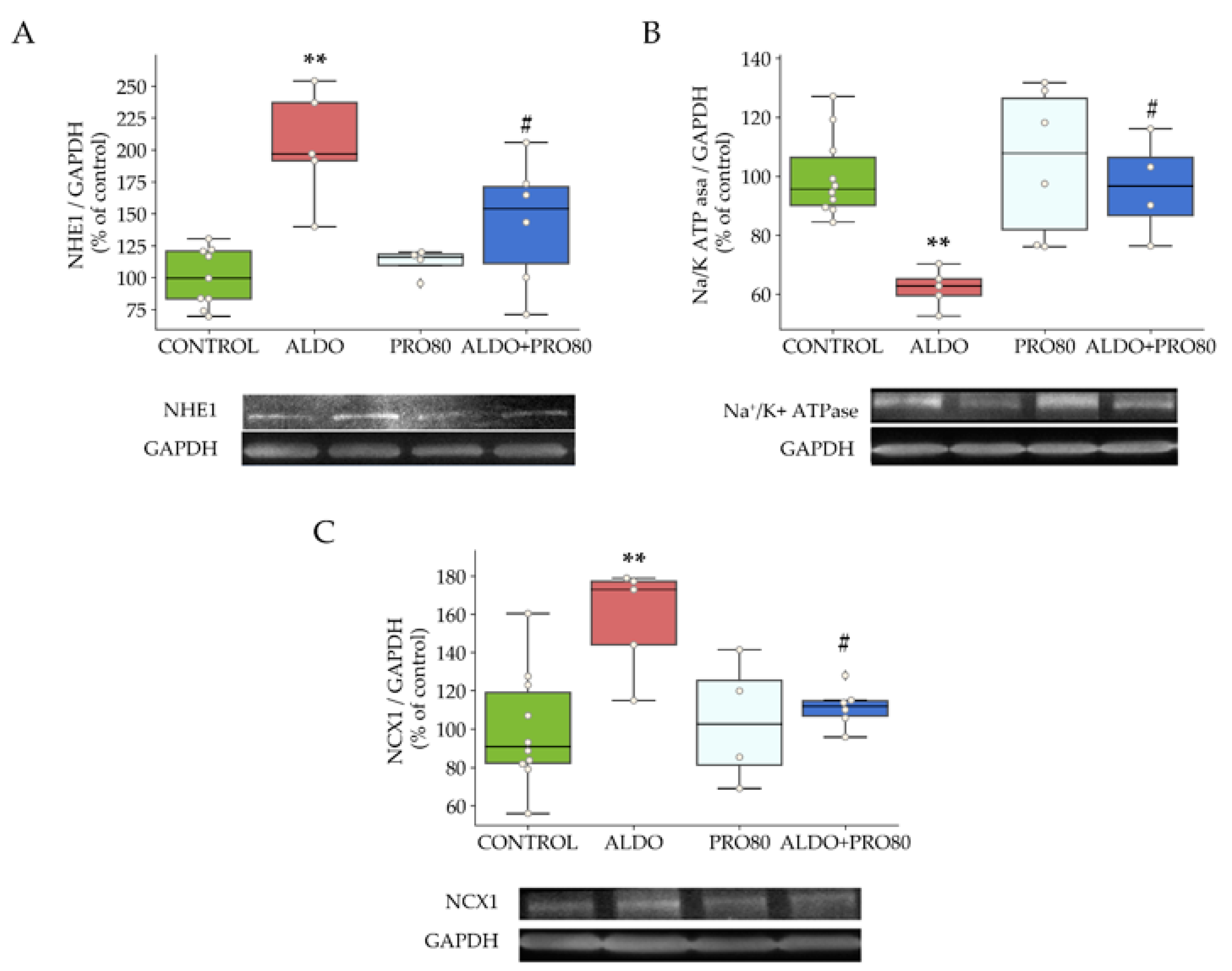 Ijms 22 09602 g003 Ijms 22 09602 g003