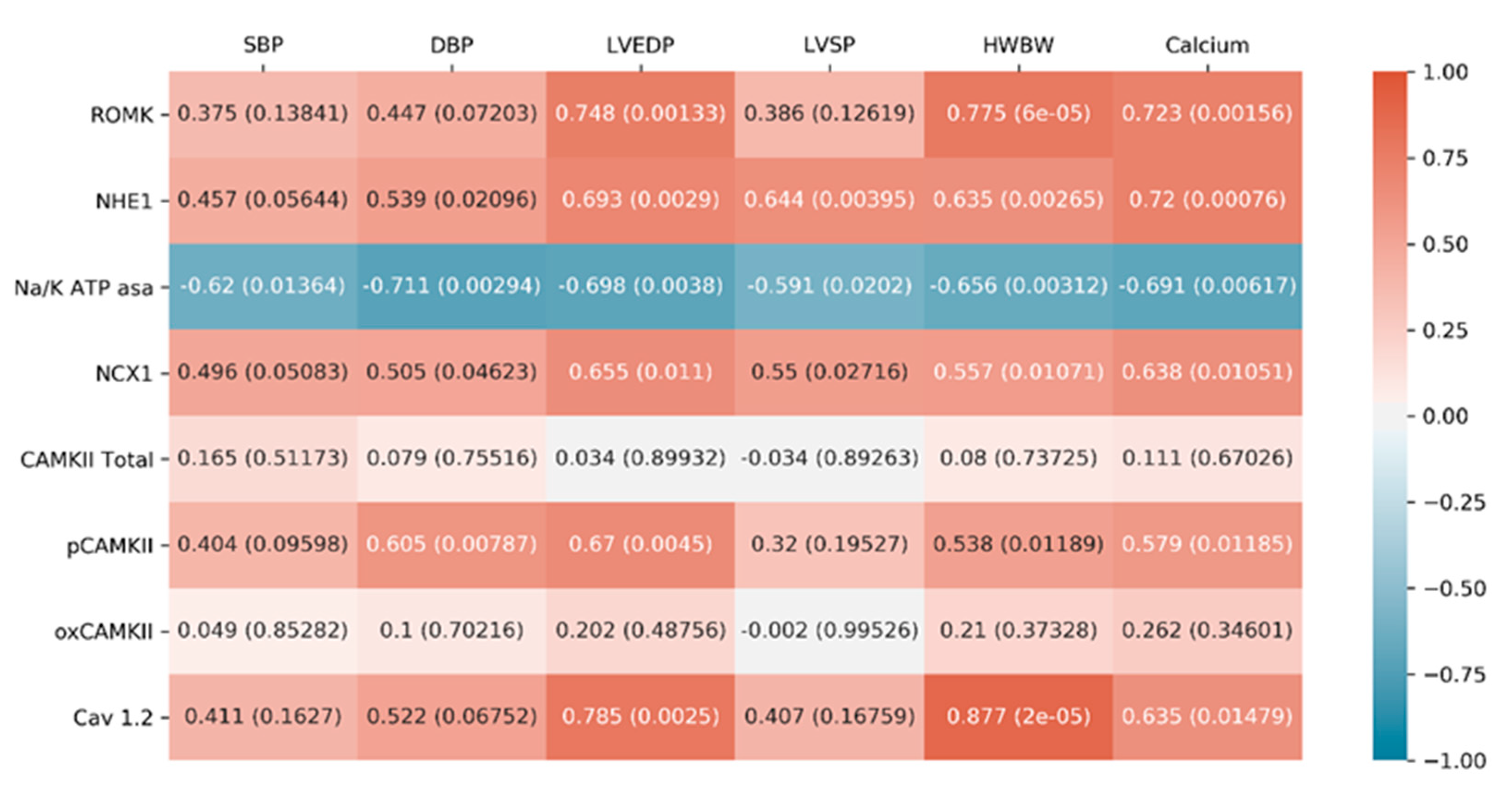 Ijms 22 09602 g005 Ijms 22 09602 g005