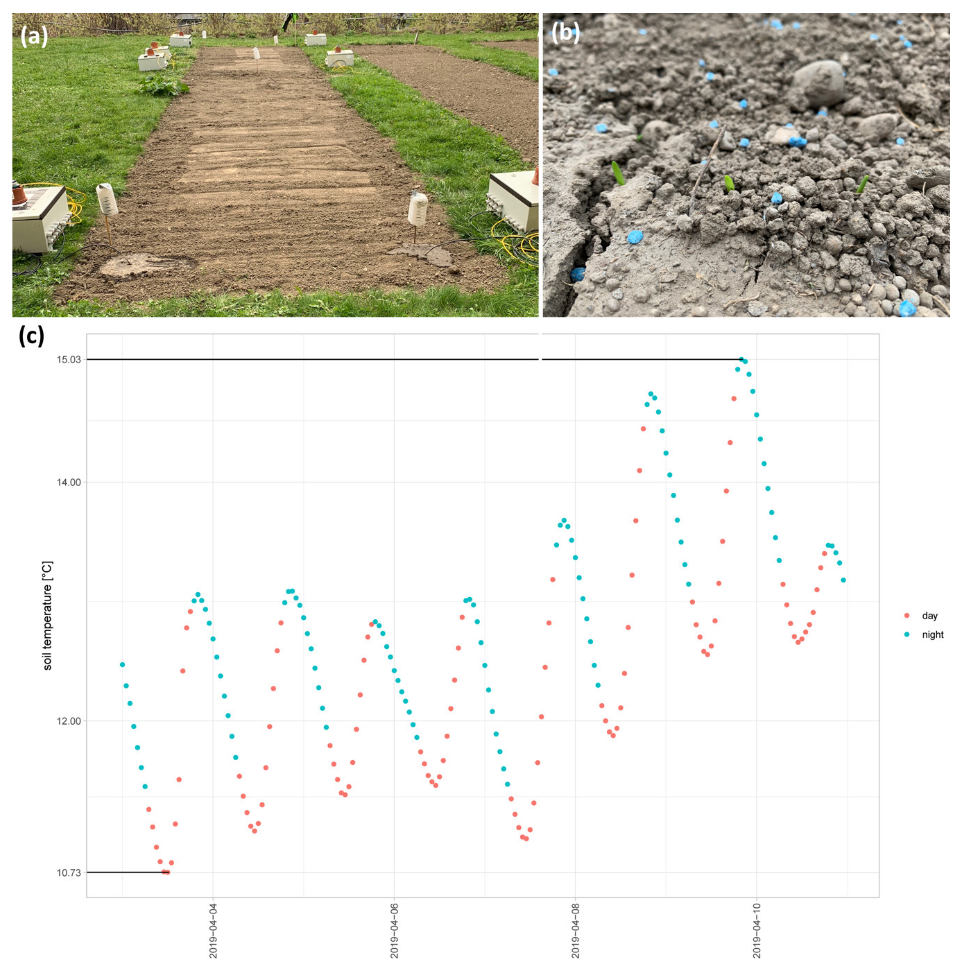 https://www.mdpi.com/ijms/ijms-22-09642/article_deploy/html/images/ijms-22-09642-g001.png