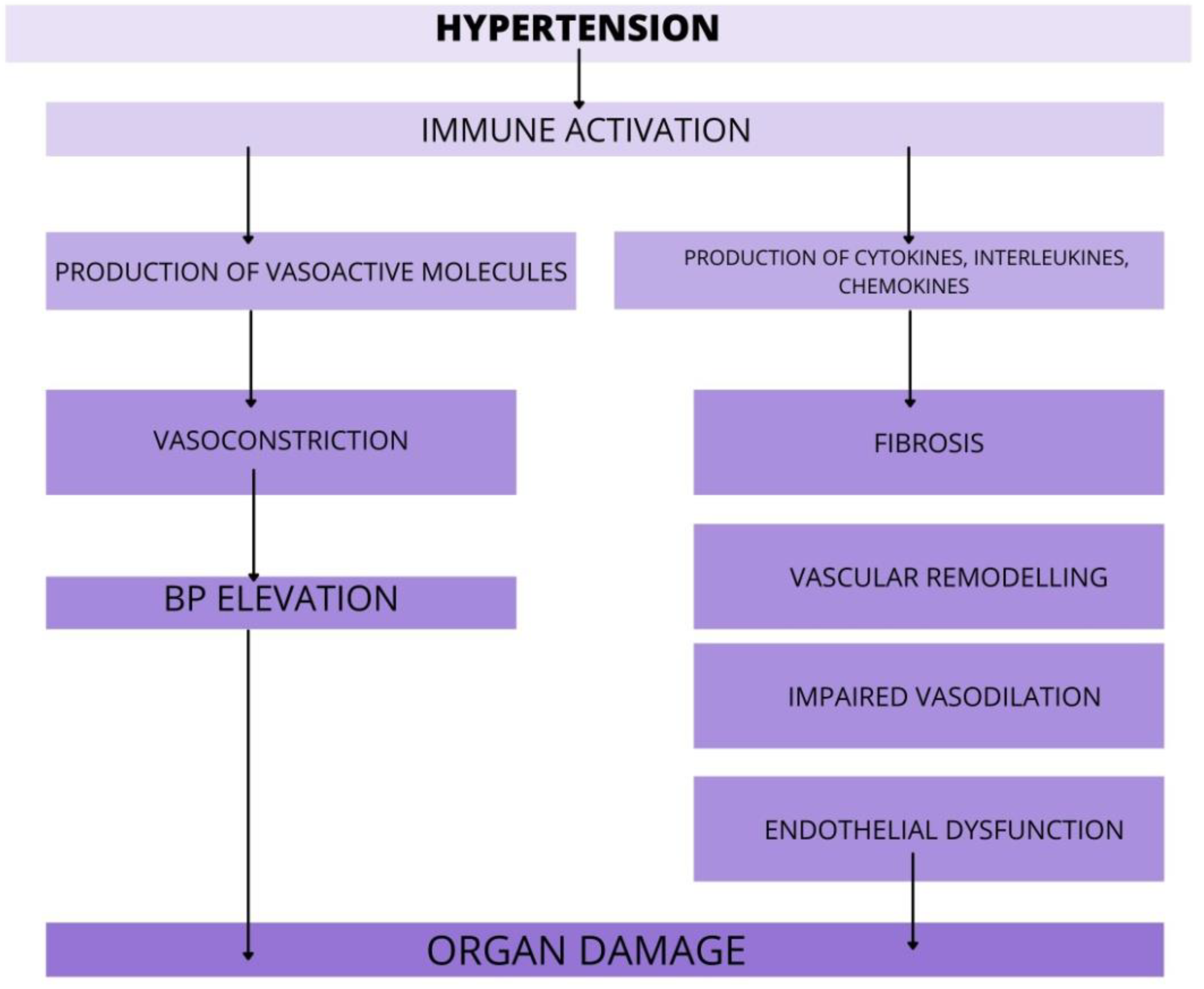 Ijms 22 09669 g002 Ijms 22 09669 g002