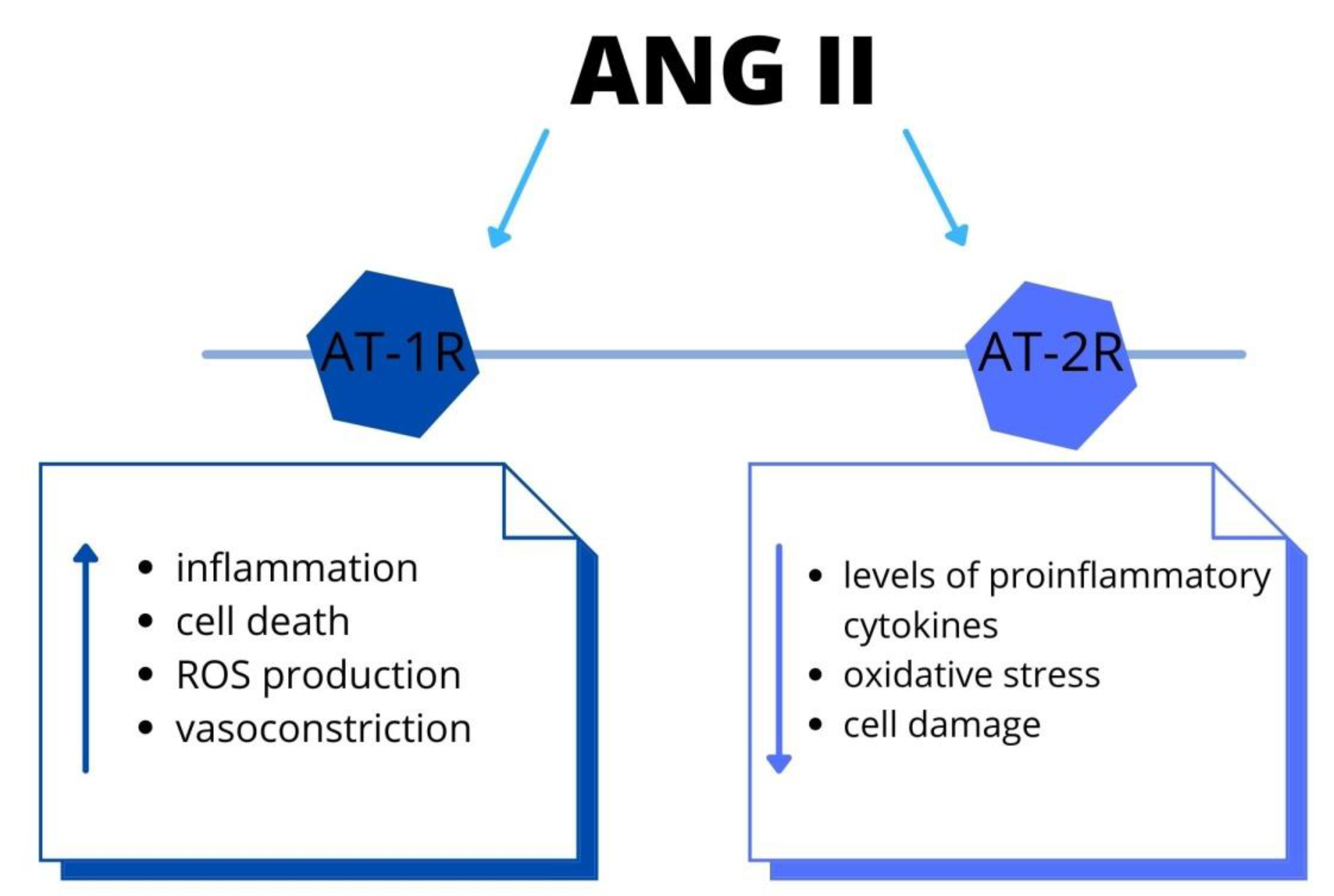 Ijms 22 09669 g003 Ijms 22 09669 g003