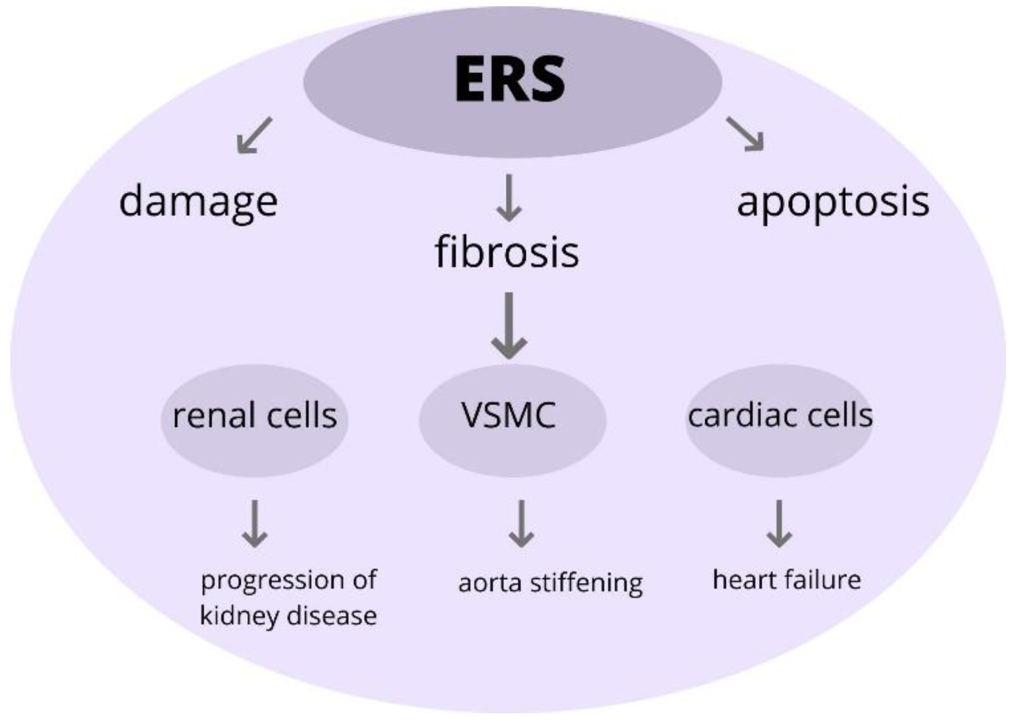 Ijms 22 09669 g005 Ijms 22 09669 g005