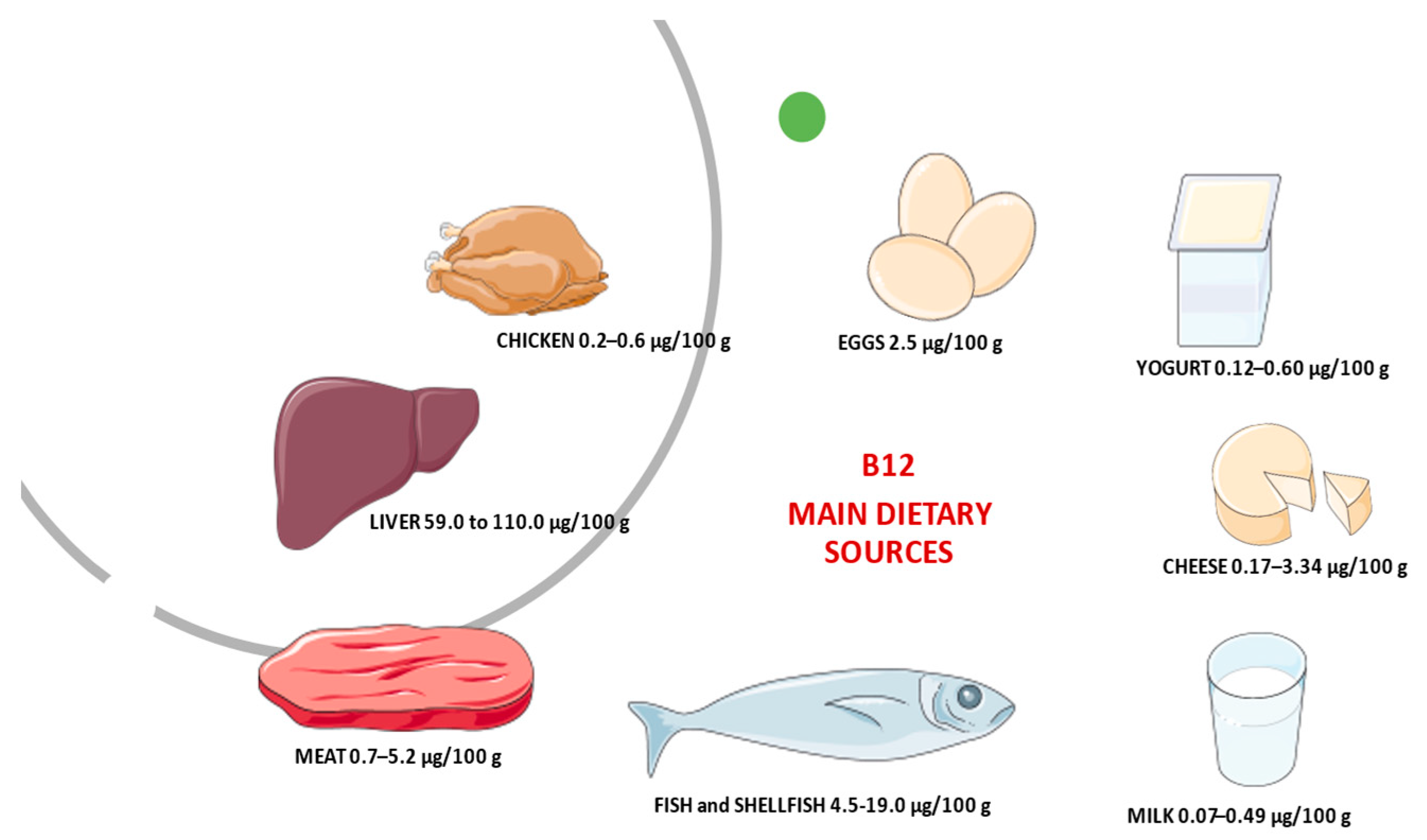 IJMS | Free Full-Text | A Brief Review on Vitamin B12 Deficiency Looking at  Some Case Study Reports in Adults