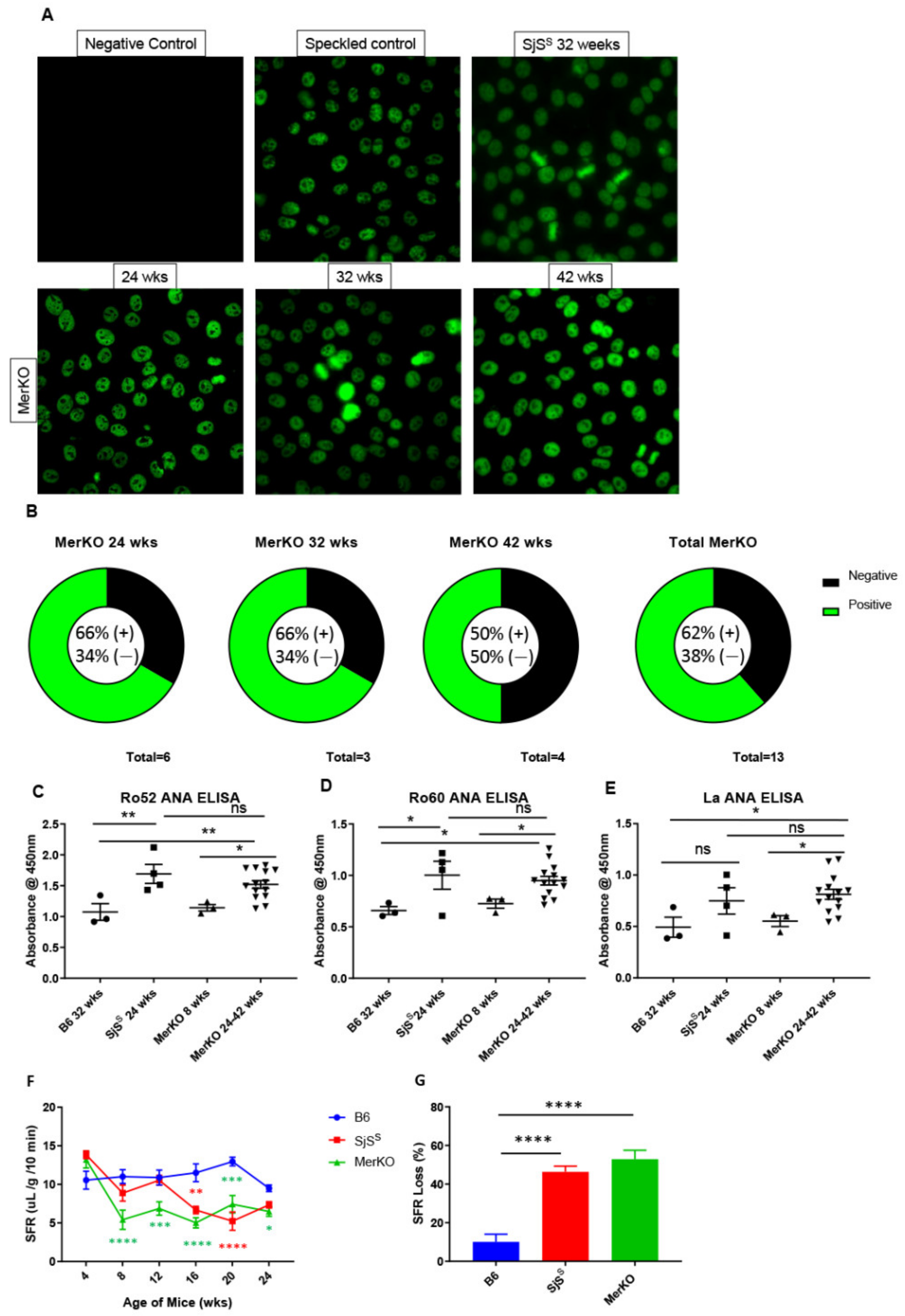 Ijms 22 09711 g002 Ijms 22 09711 g002