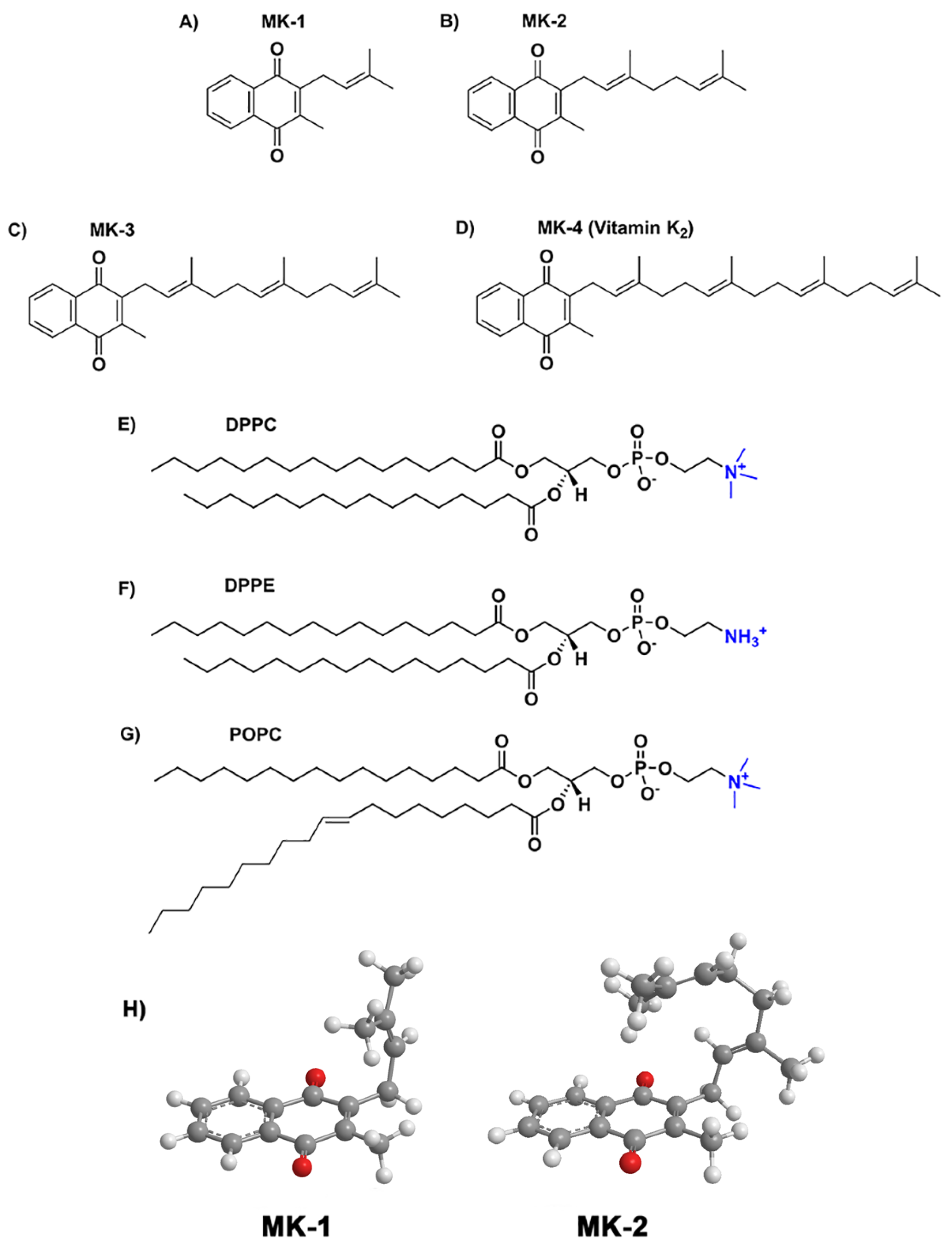 Ijms 22 09755 g001 Ijms 22 09755 g001