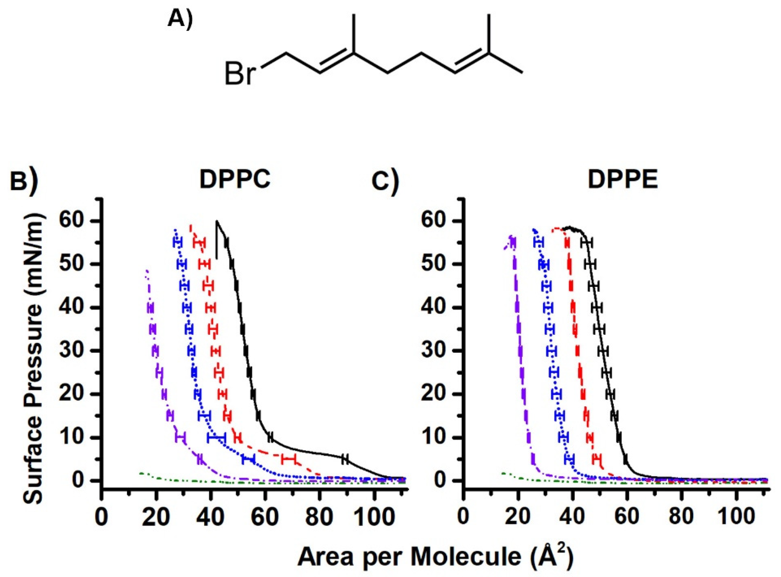 Ijms 22 09755 g004 Ijms 22 09755 g004