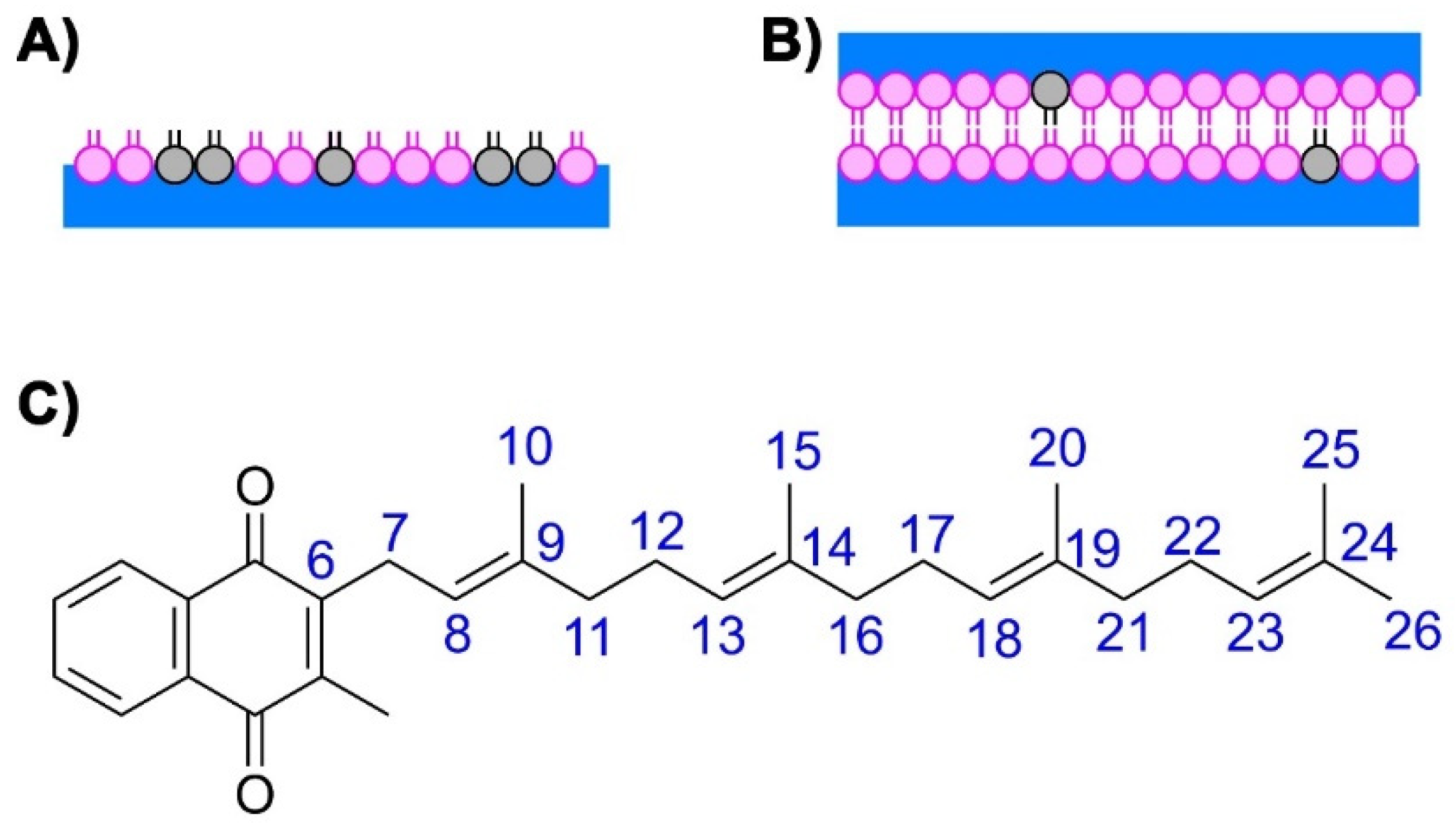 Ijms 22 09755 g007 Ijms 22 09755 g007