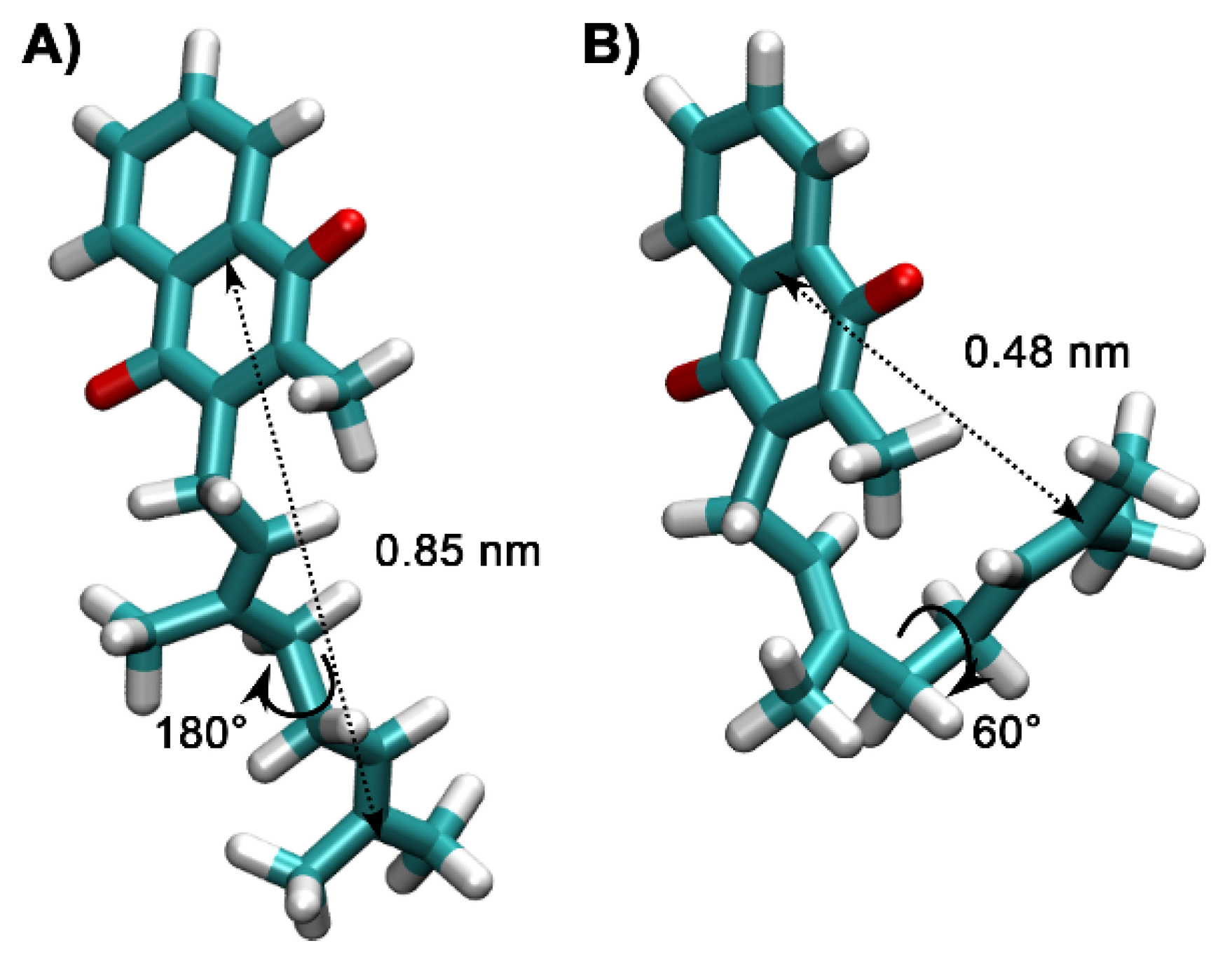 Ijms 22 09755 g010 Ijms 22 09755 g010