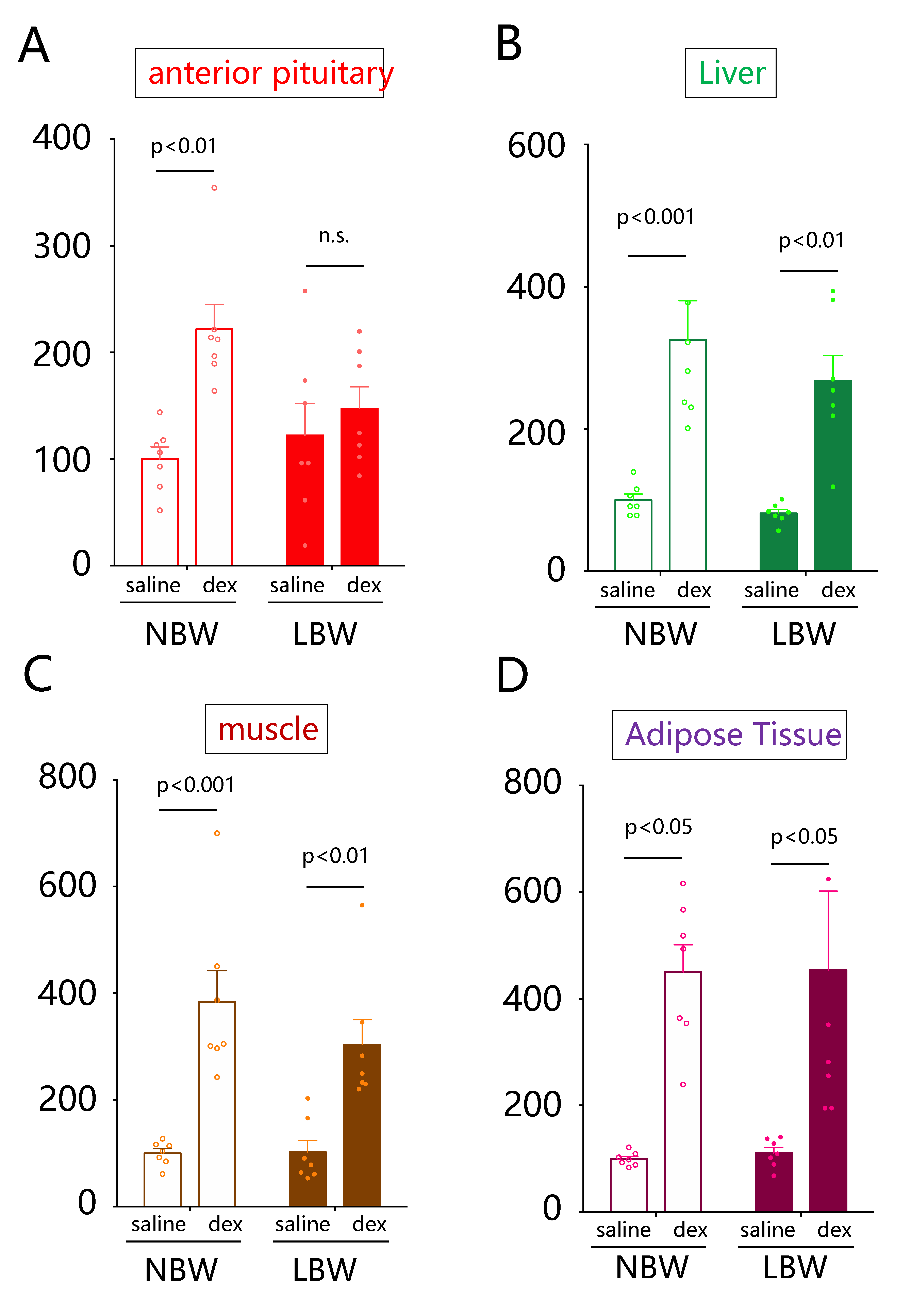 Ijms 22 09767 g002 Ijms 22 09767 g002