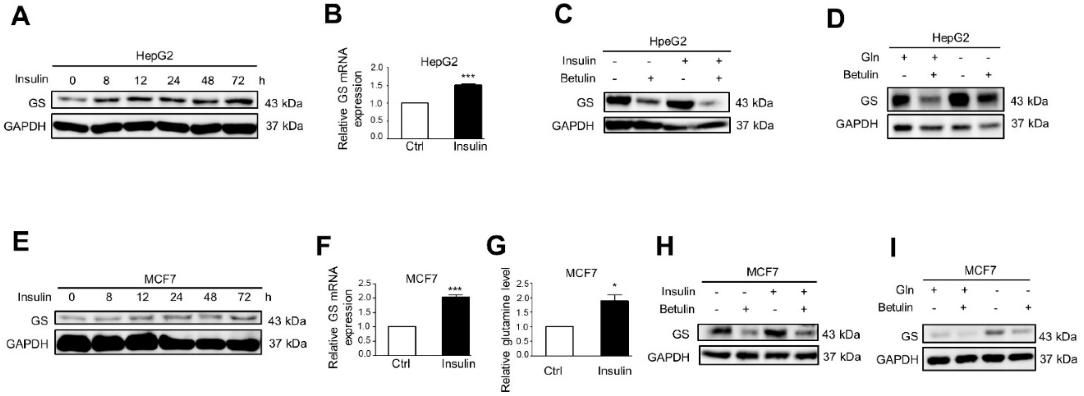 Ijms 22 09814 g001 Ijms 22 09814 g001