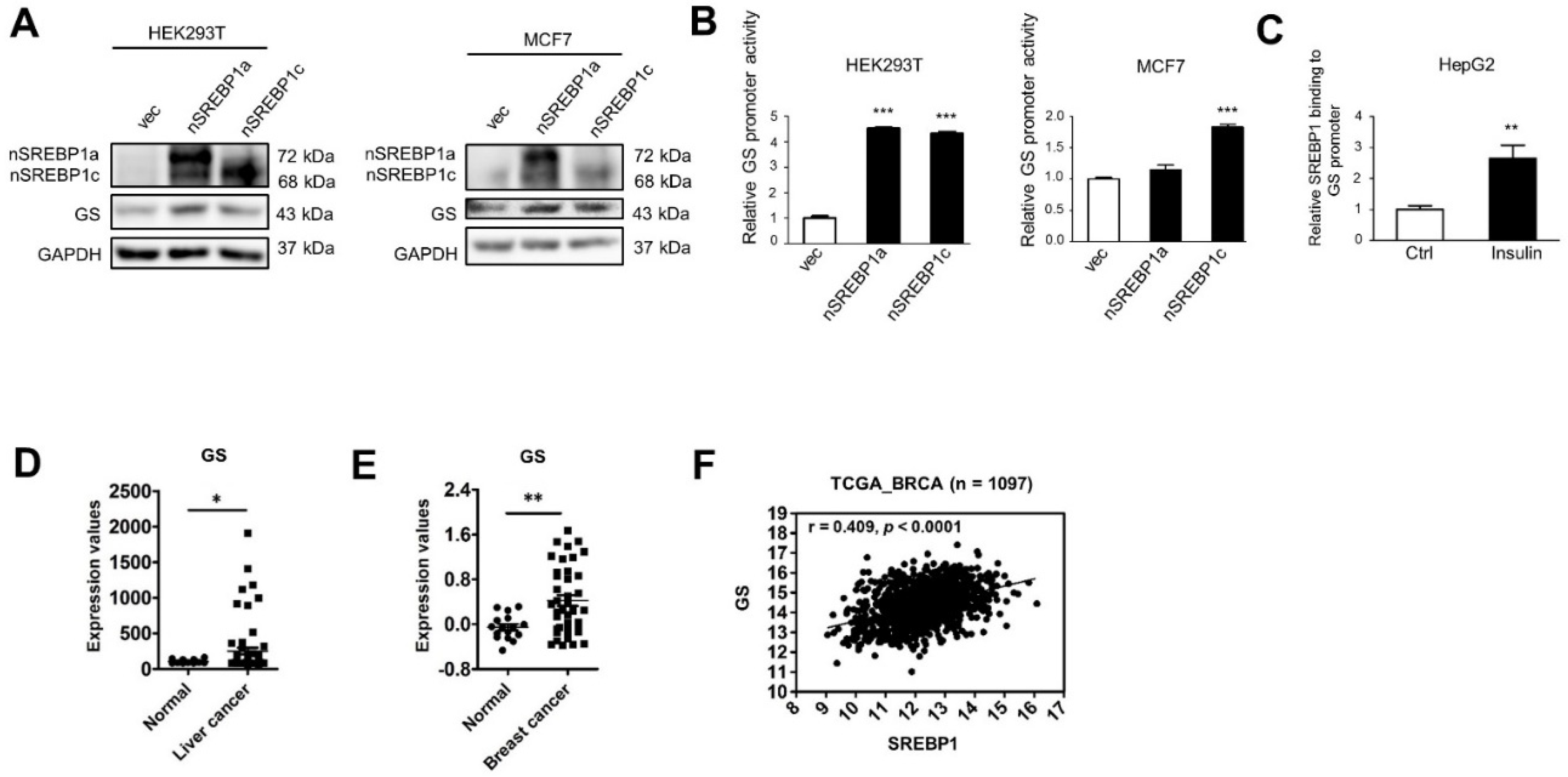 Ijms 22 09814 g002 Ijms 22 09814 g002
