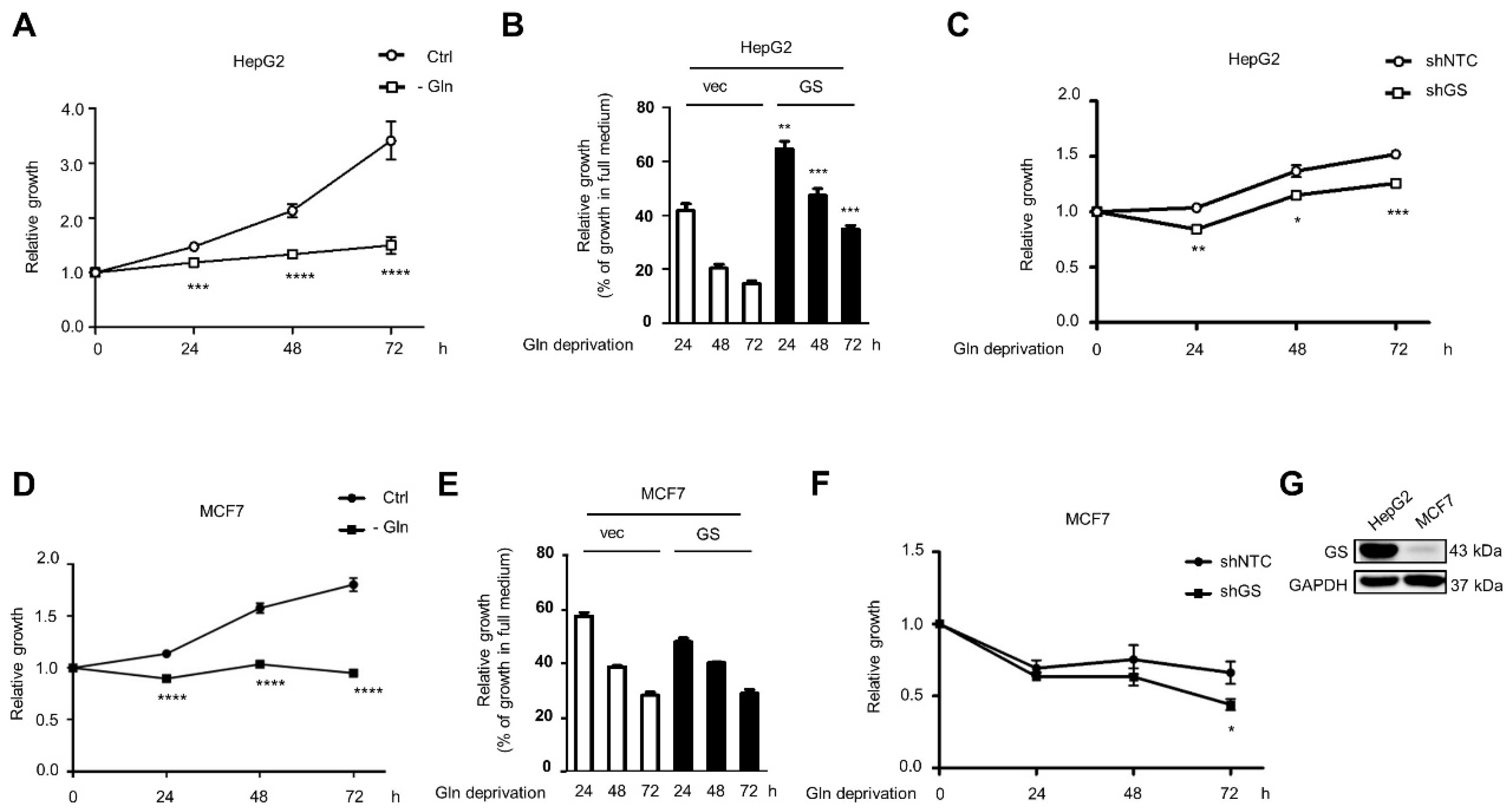 Ijms 22 09814 g006 Ijms 22 09814 g006