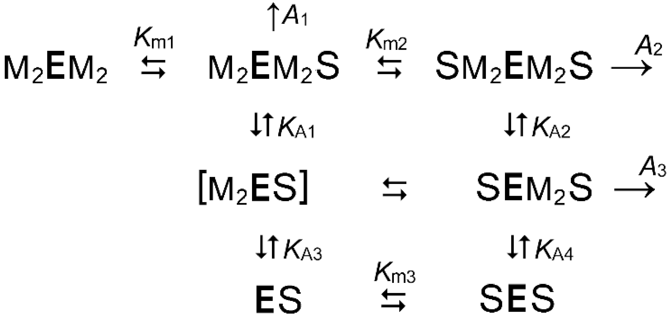 Ijms 22 09820 sch003