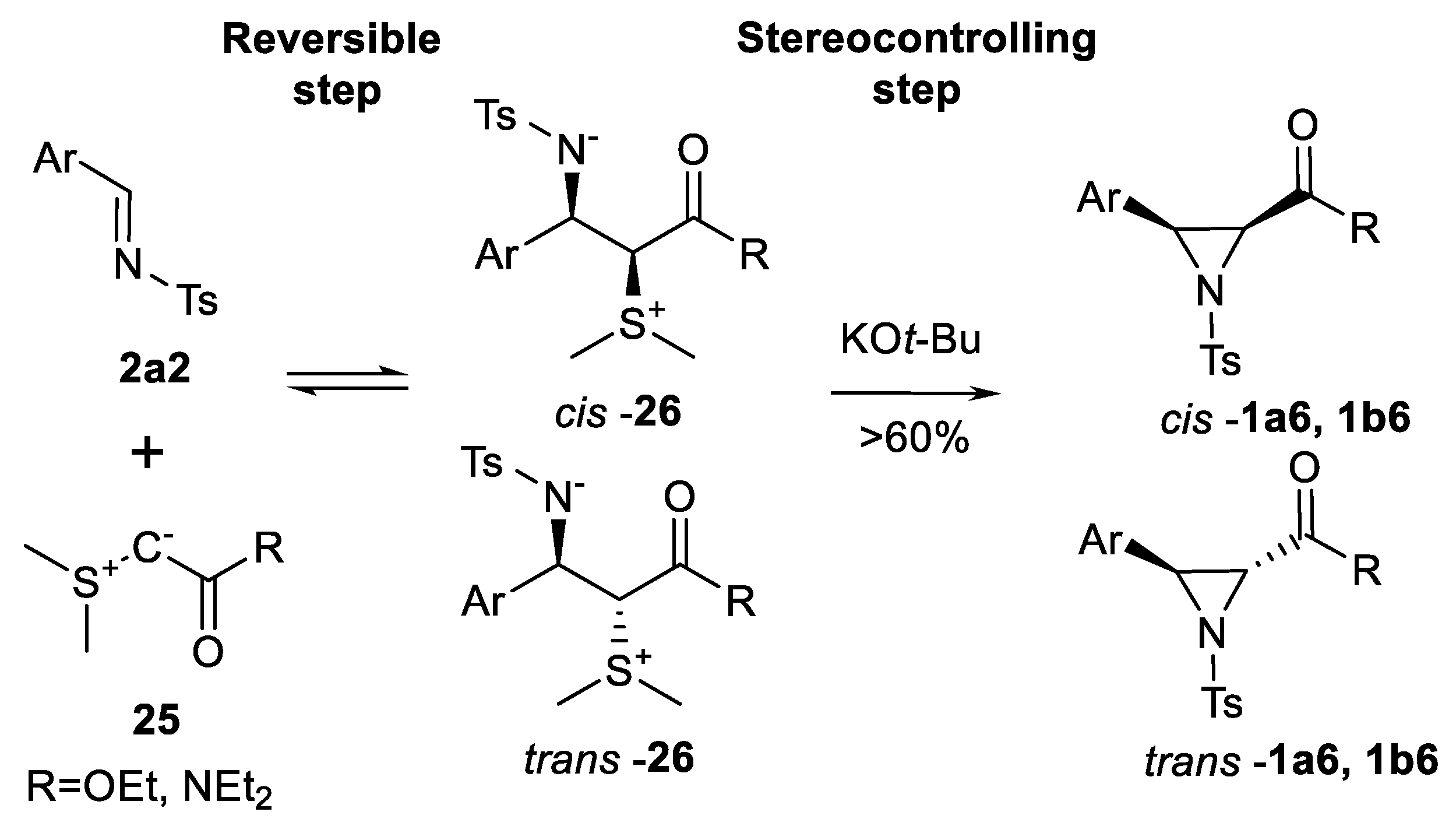 Ijms 22 09861 sch023 Ijms 22 09861 sch023