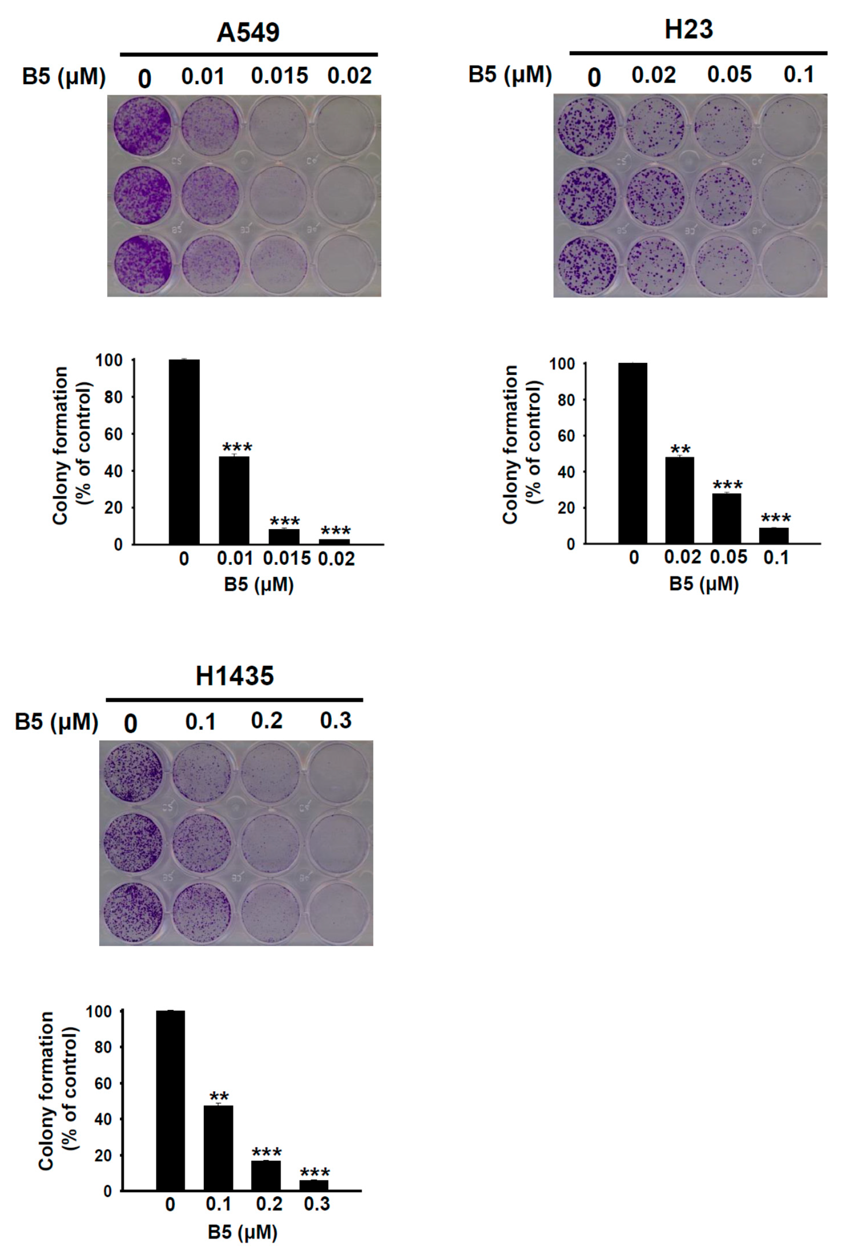 Ijms 22 09864 g003 Ijms 22 09864 g003