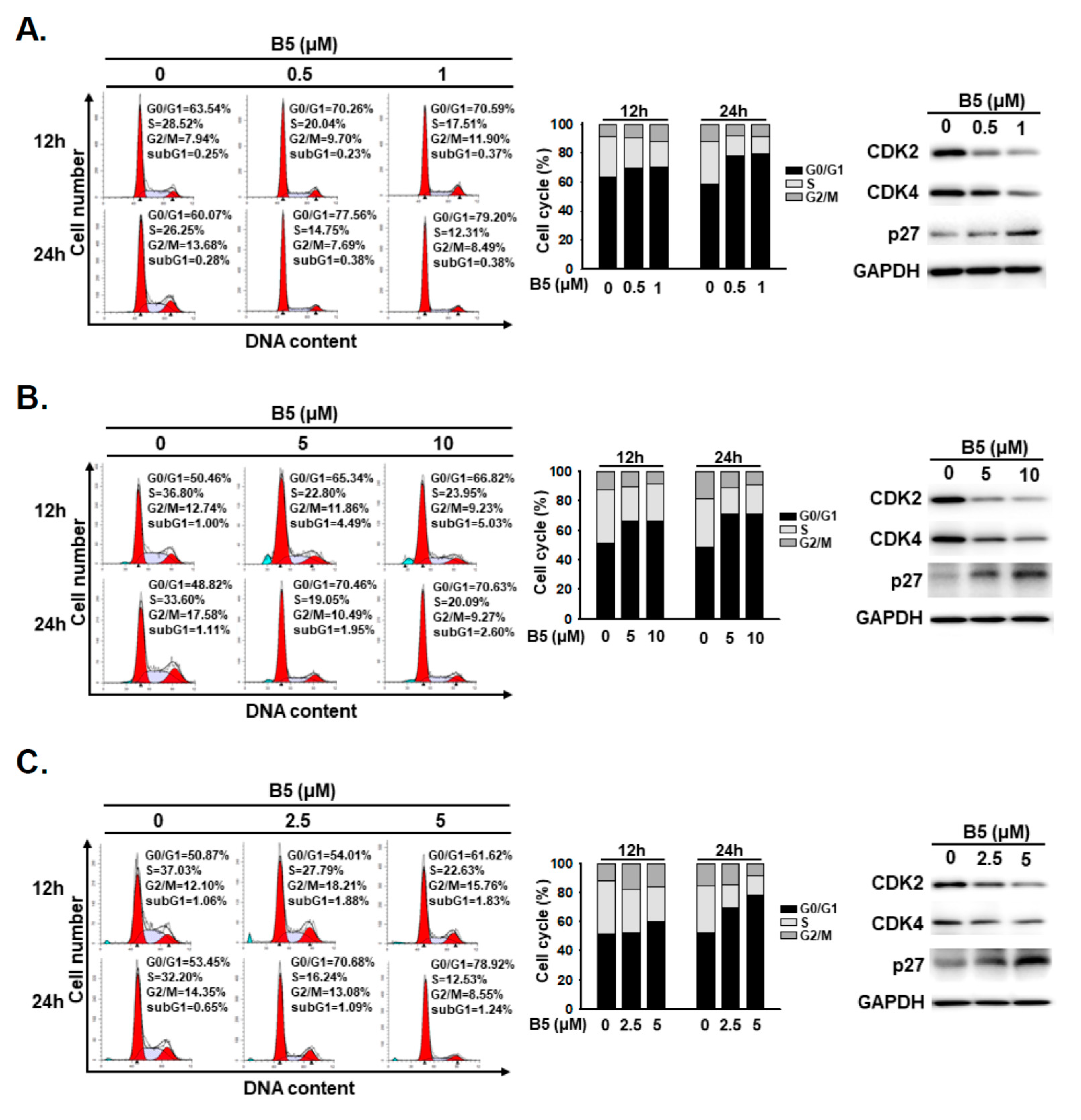 Ijms 22 09864 g004 Ijms 22 09864 g004