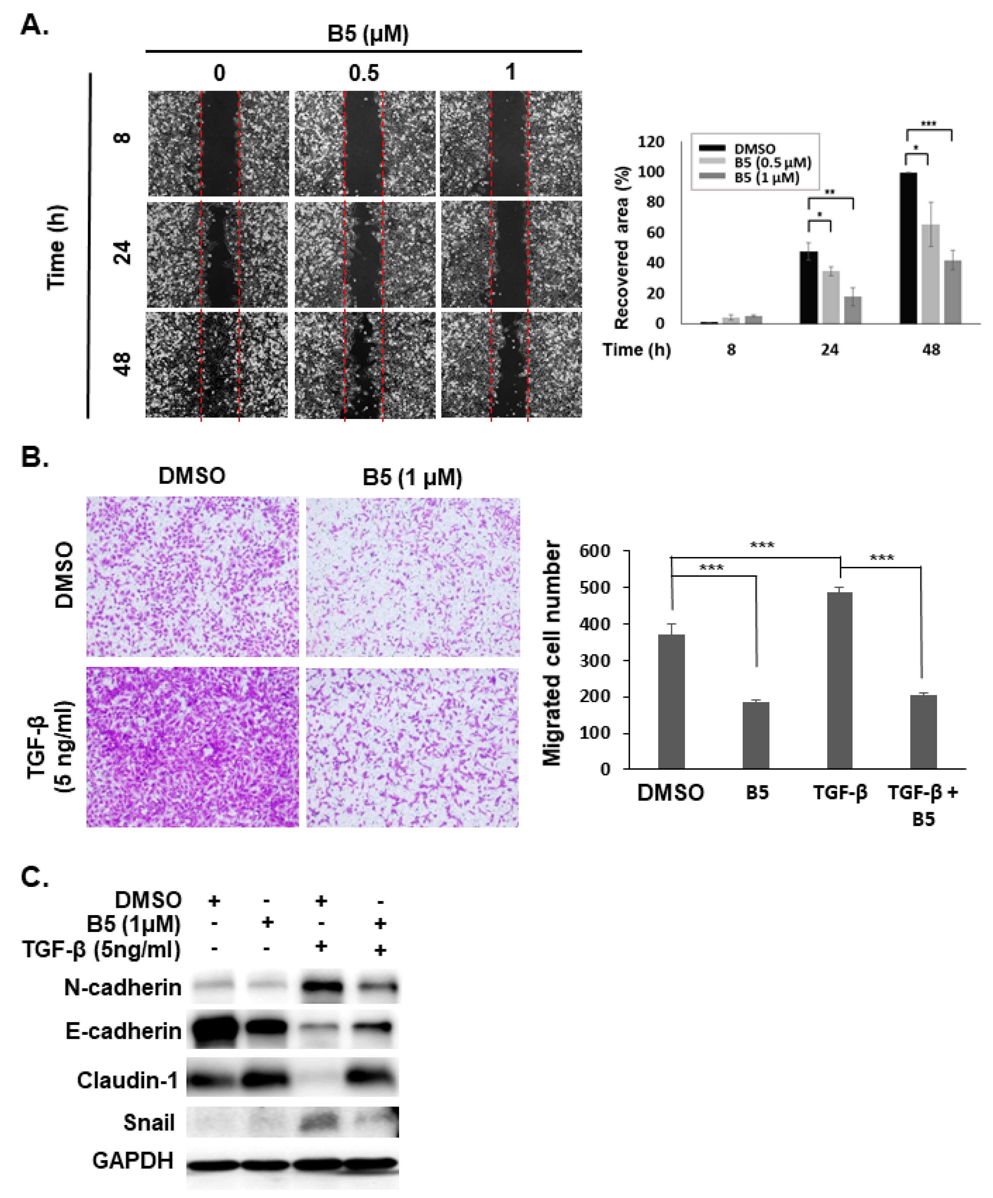 Ijms 22 09864 g008 Ijms 22 09864 g008