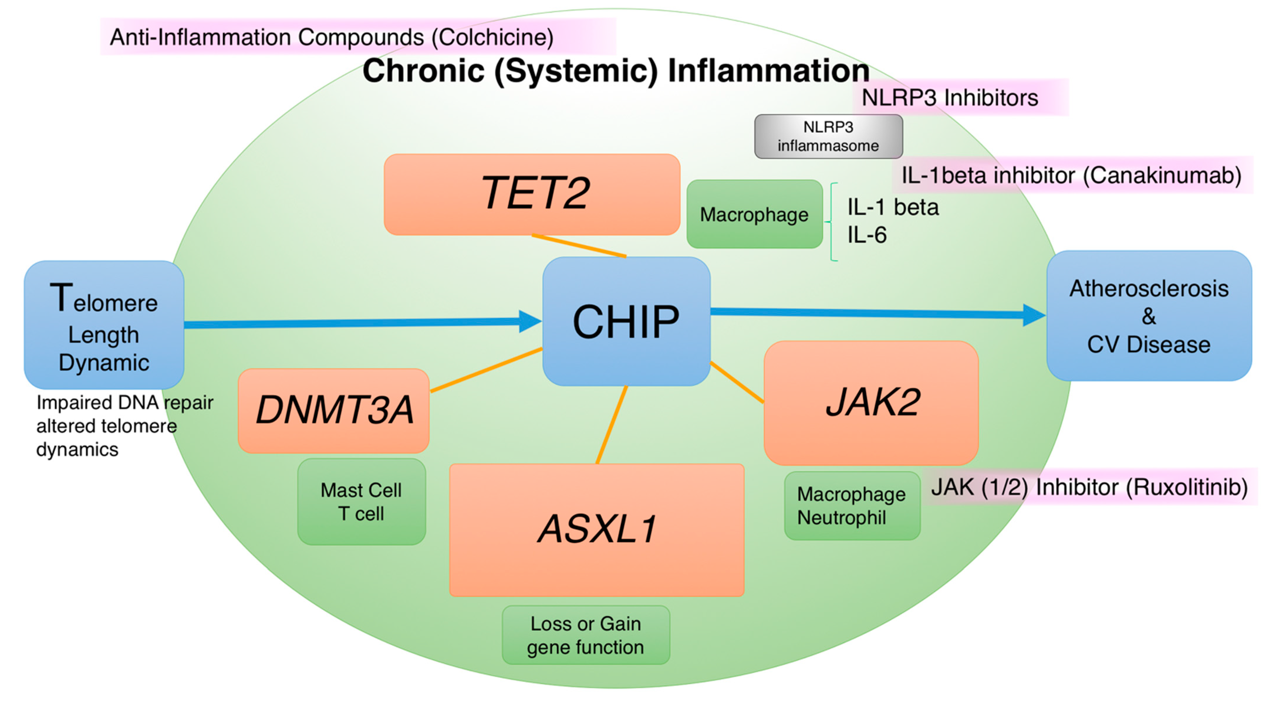 Ijms 22 09867 g002 Ijms 22 09867 g002