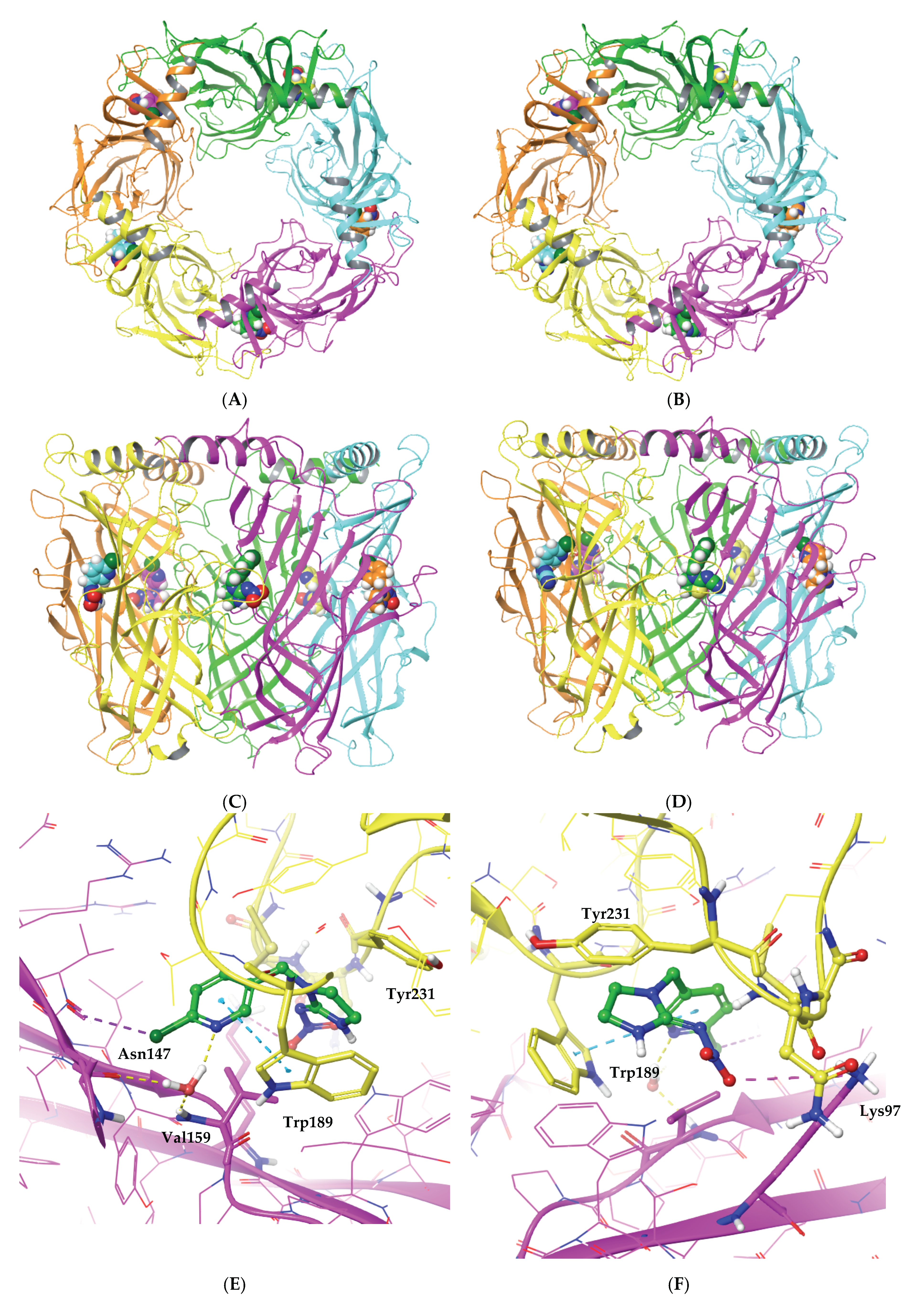 Ijms 22 09880 g007a Ijms 22 09880 g007a