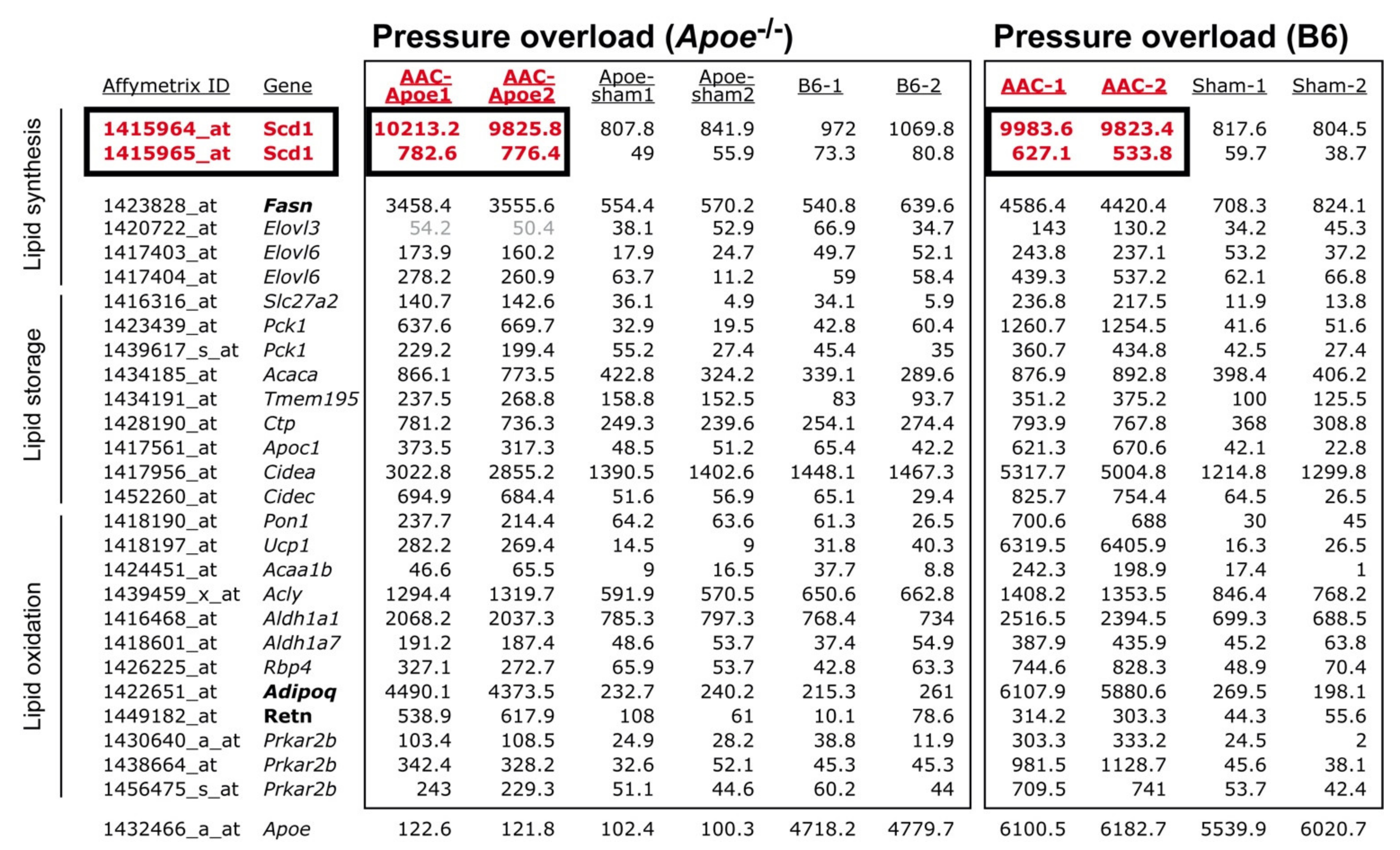 Ijms 22 09883 g003 Ijms 22 09883 g003