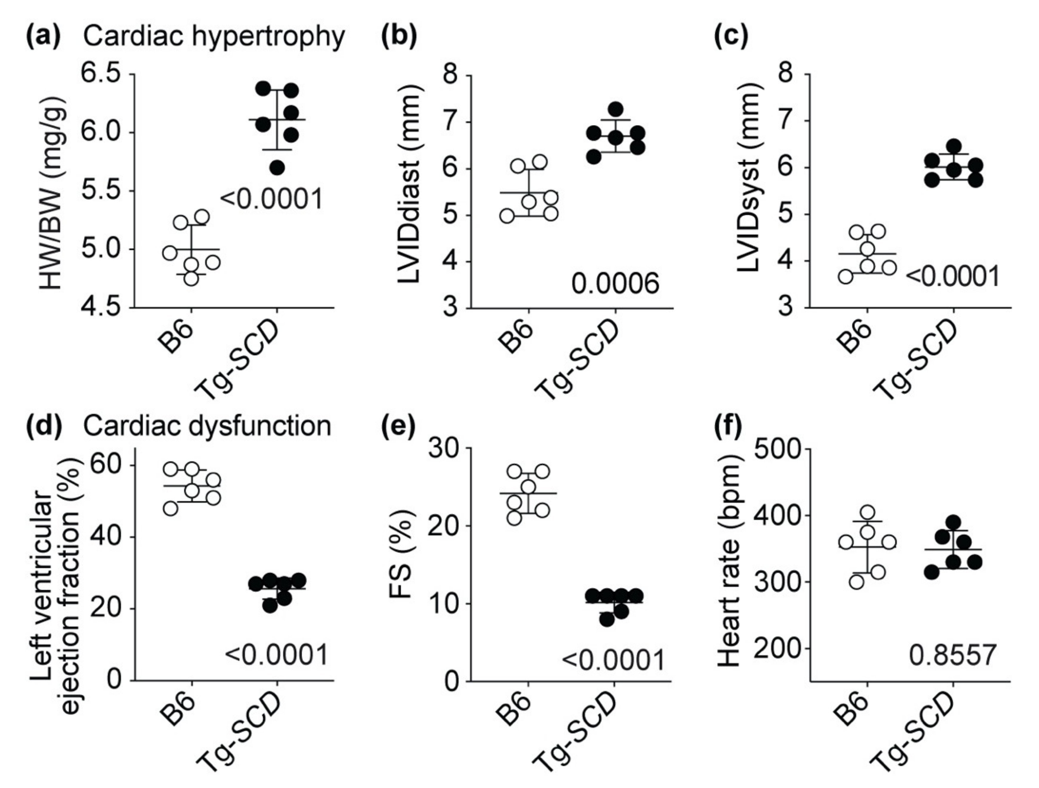 Ijms 22 09883 g007 Ijms 22 09883 g007
