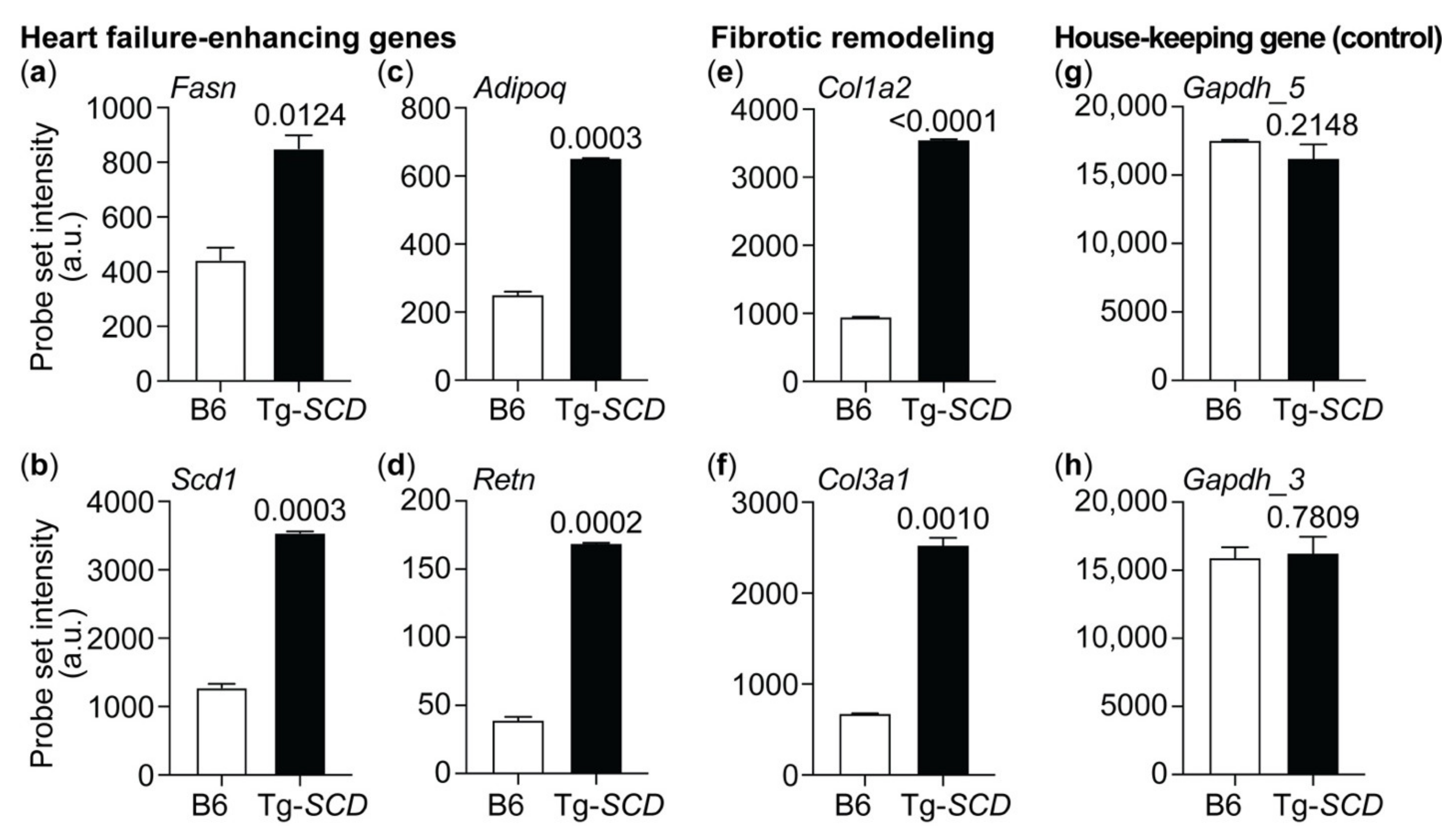 Ijms 22 09883 g008 Ijms 22 09883 g008