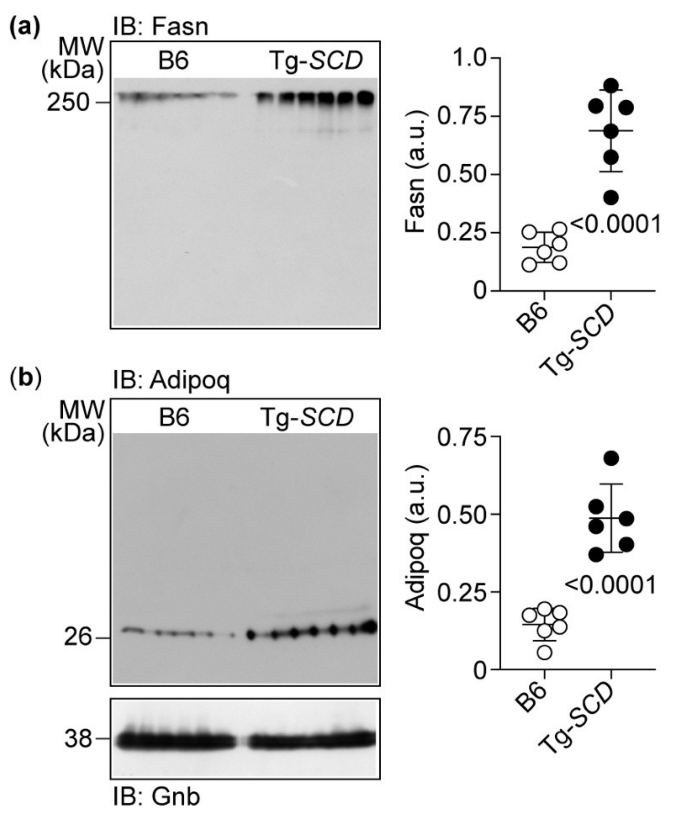 Ijms 22 09883 g009 Ijms 22 09883 g009