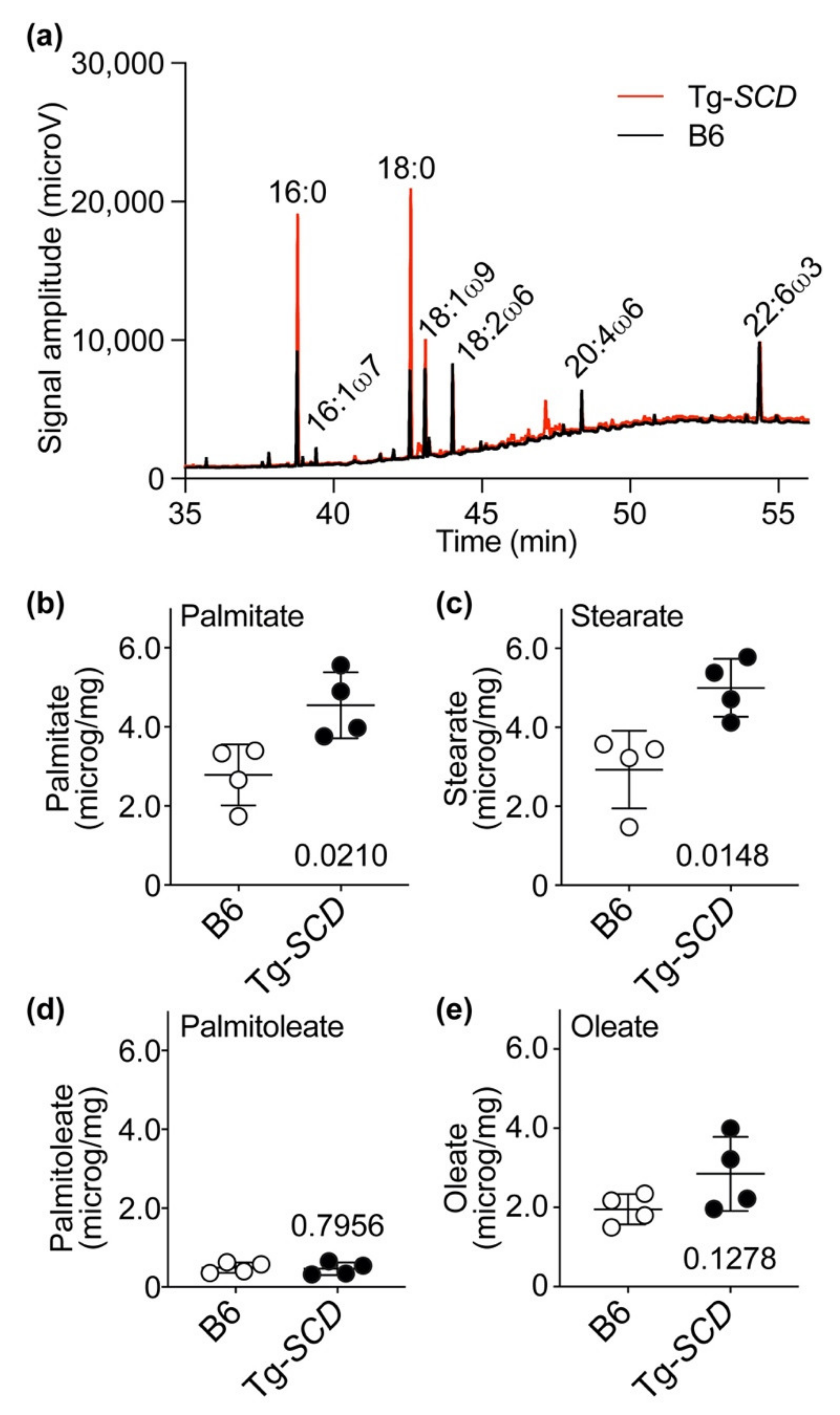 Ijms 22 09883 g010 Ijms 22 09883 g010