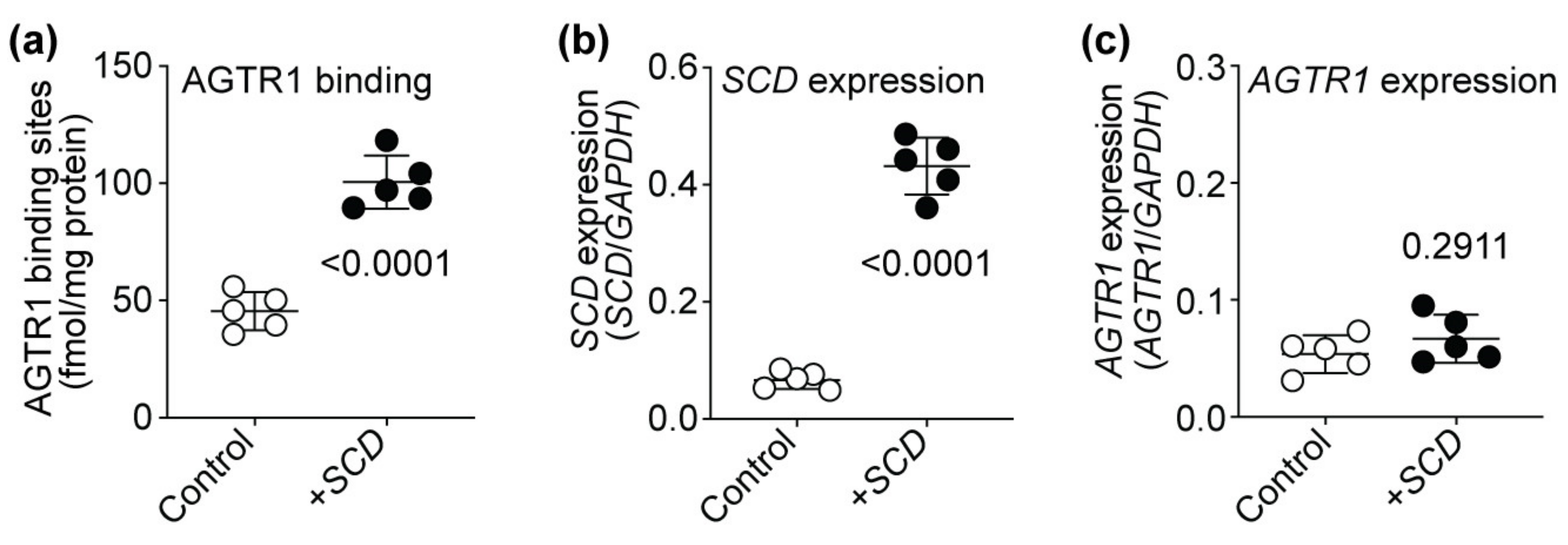 Ijms 22 09883 g012 Ijms 22 09883 g012