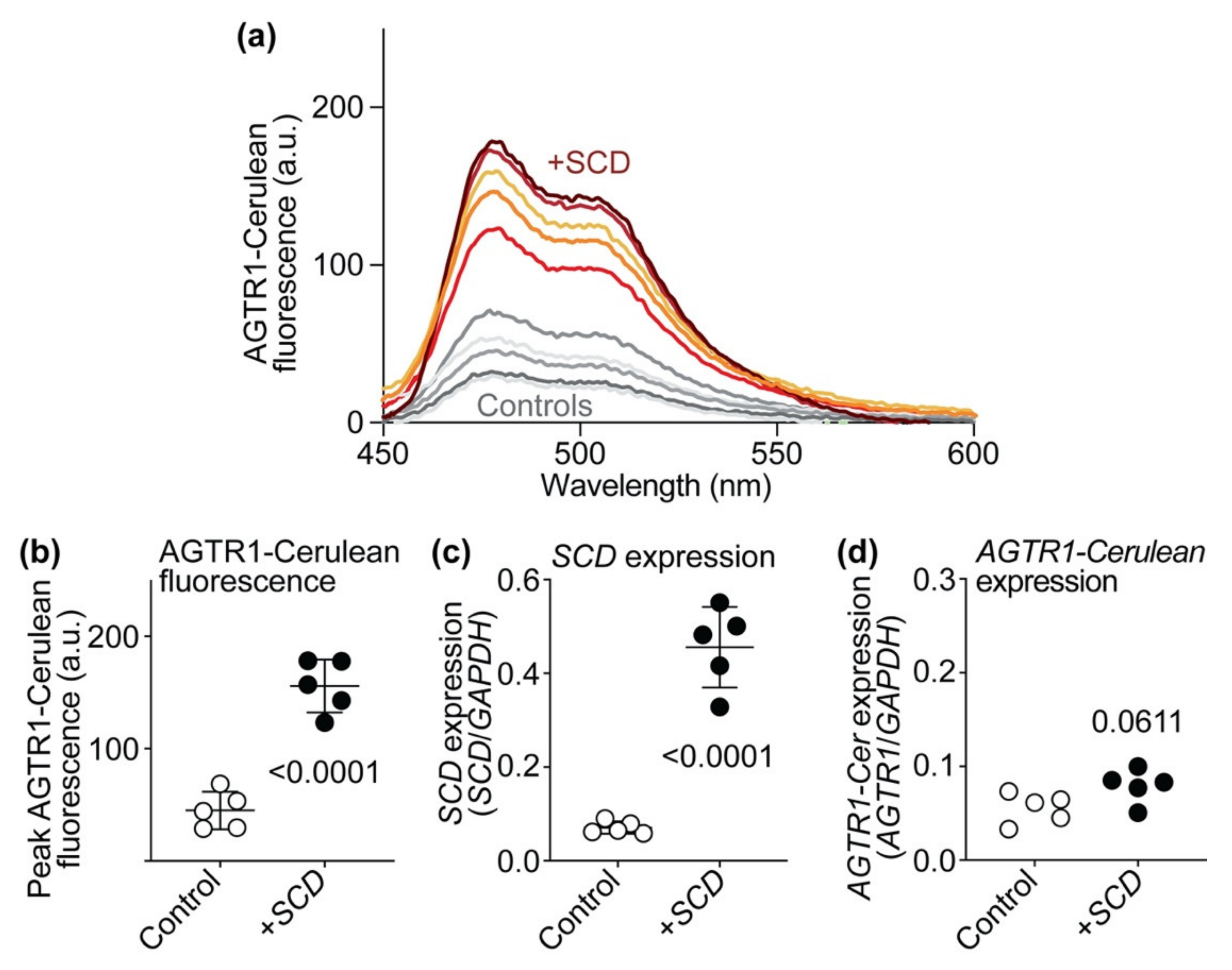 Ijms 22 09883 g013 Ijms 22 09883 g013